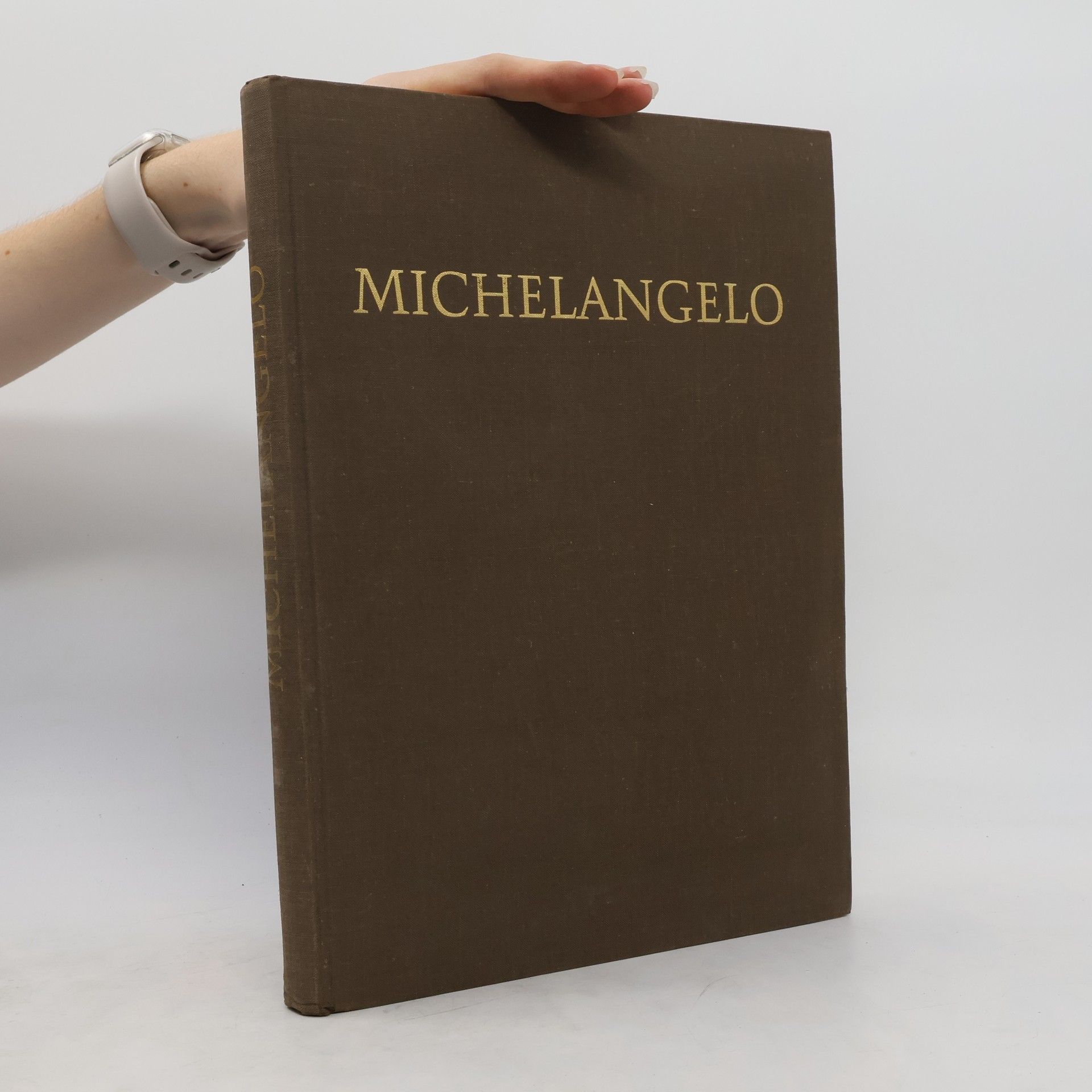 Autorenkollektiv Michelangelo