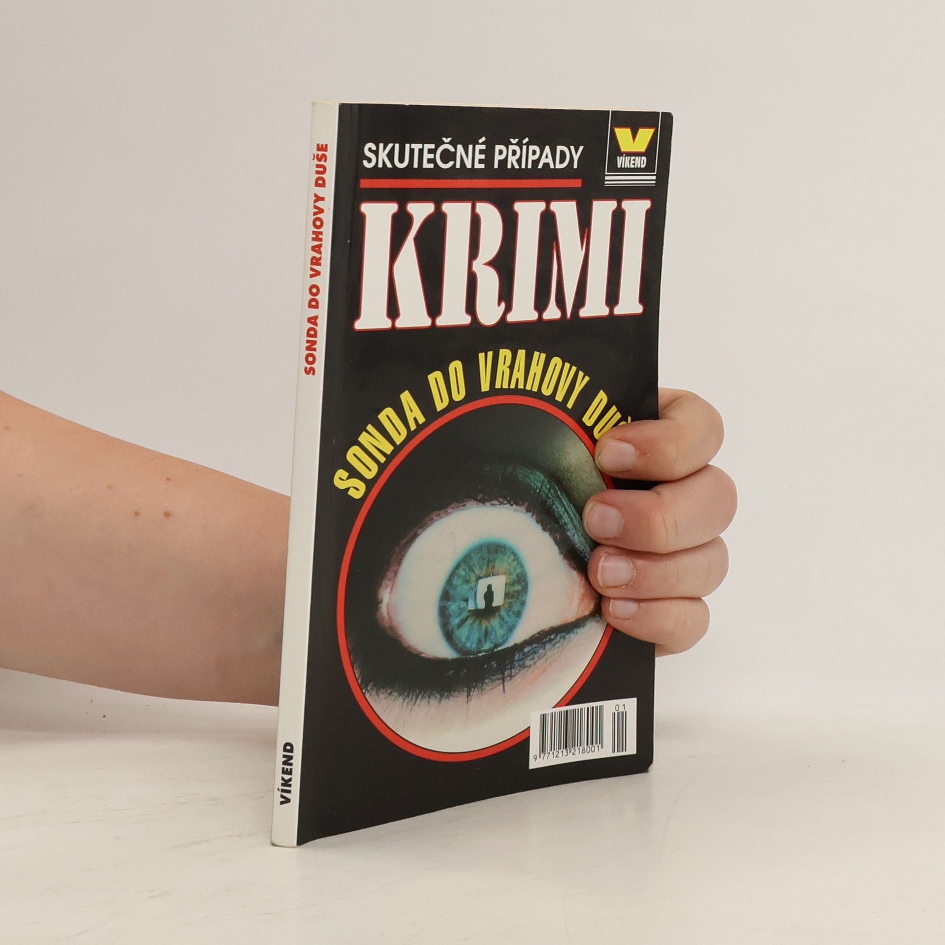 Autorenkollektiv Sonda do vrahovy duše