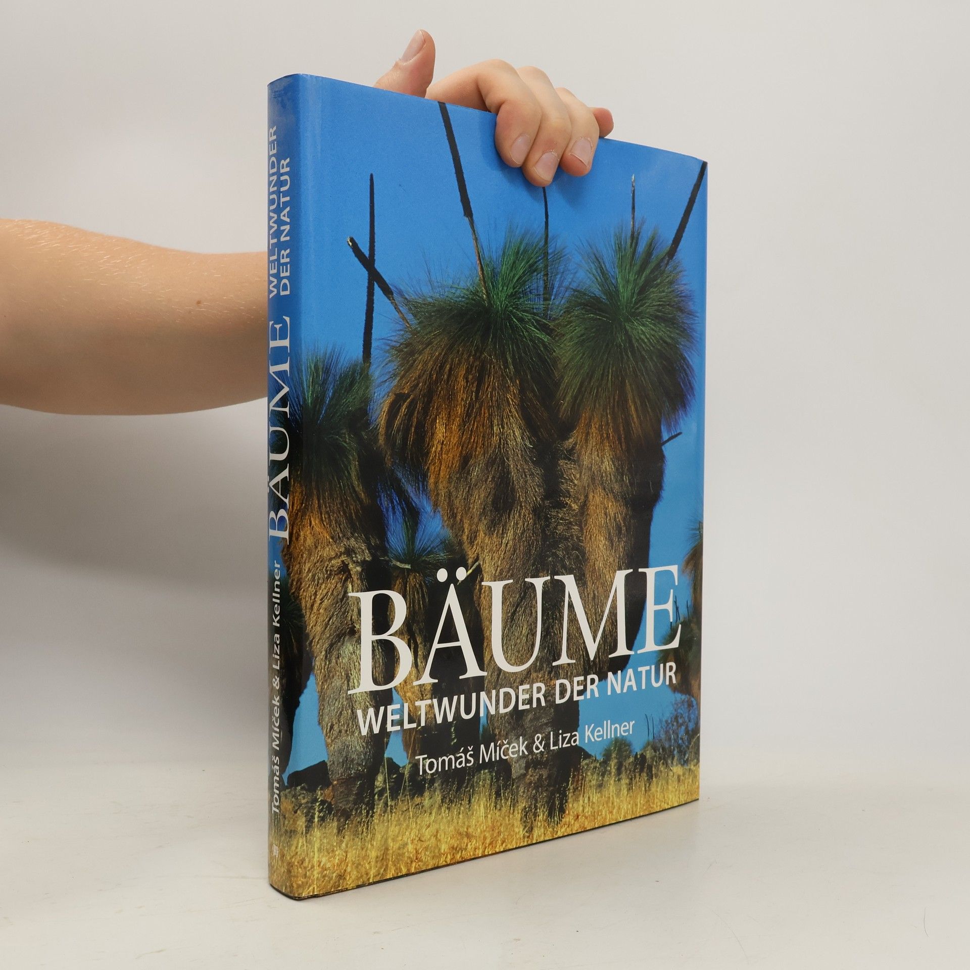 Tomáš Míček Bäume