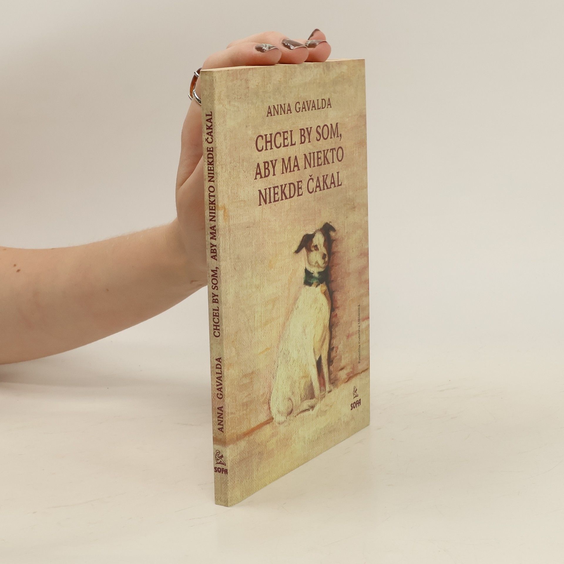 Anna Gavalda Chcel by som, aby na mňa niekto niekde čakal