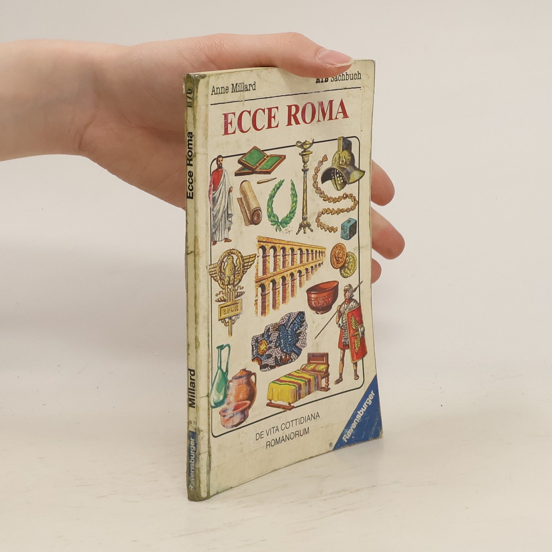 Anne Millard Ecce Roma