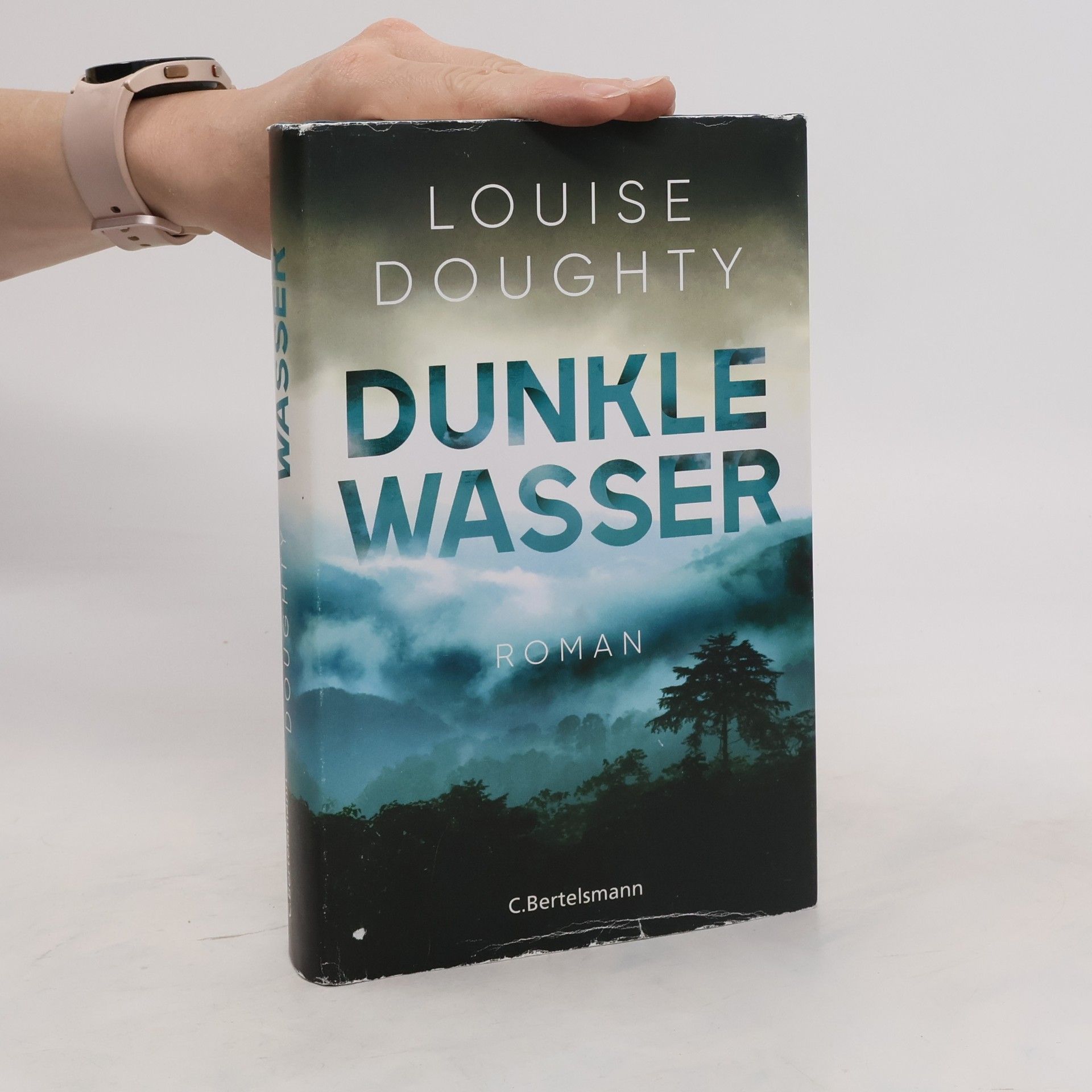 Louise Doughty Dunkle Wasser