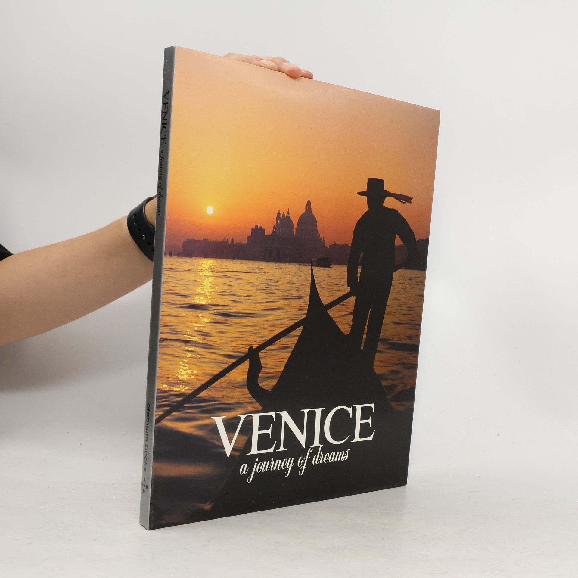 Alvise Zorzi Venice