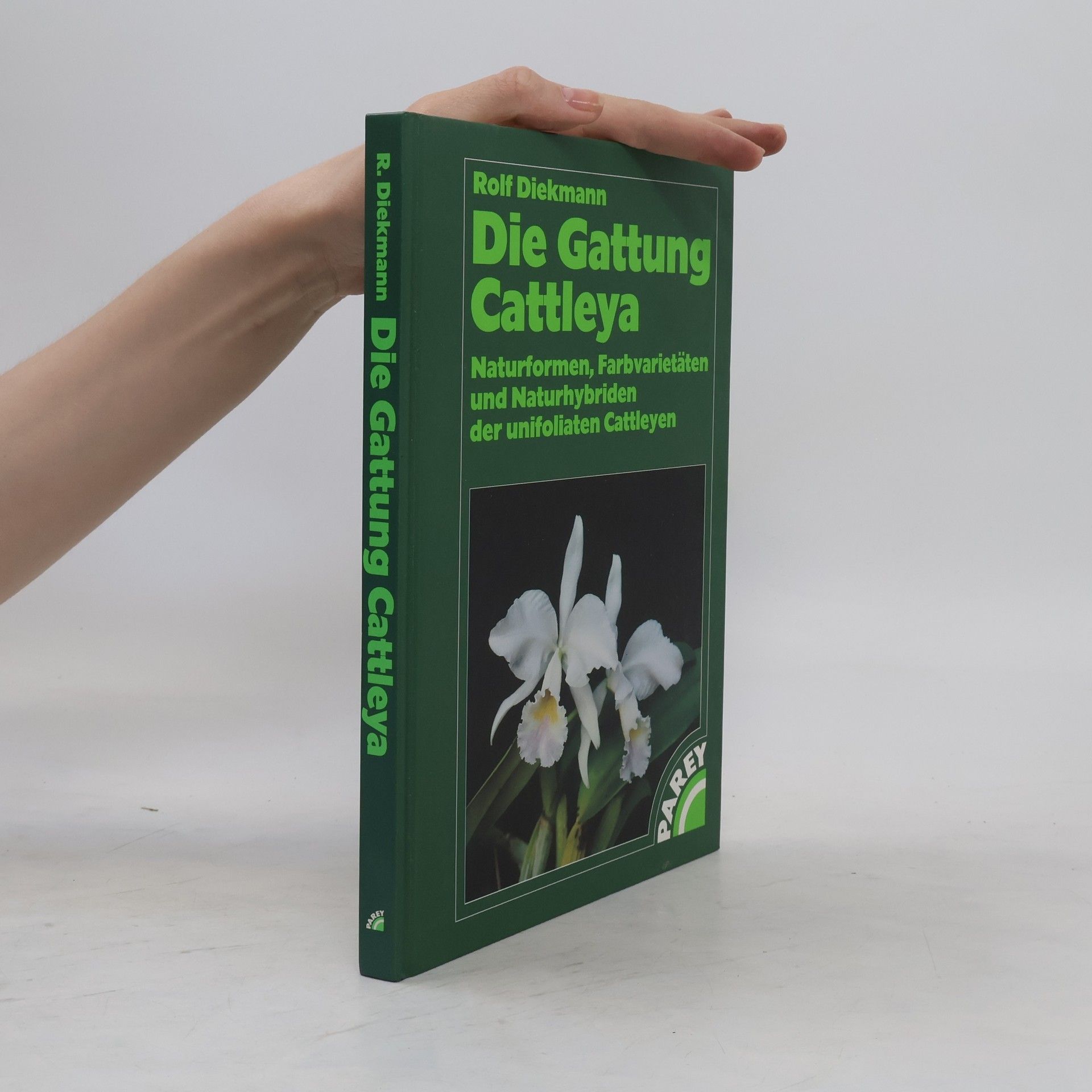 Rolf Diekmann Die Gattung Cattleya