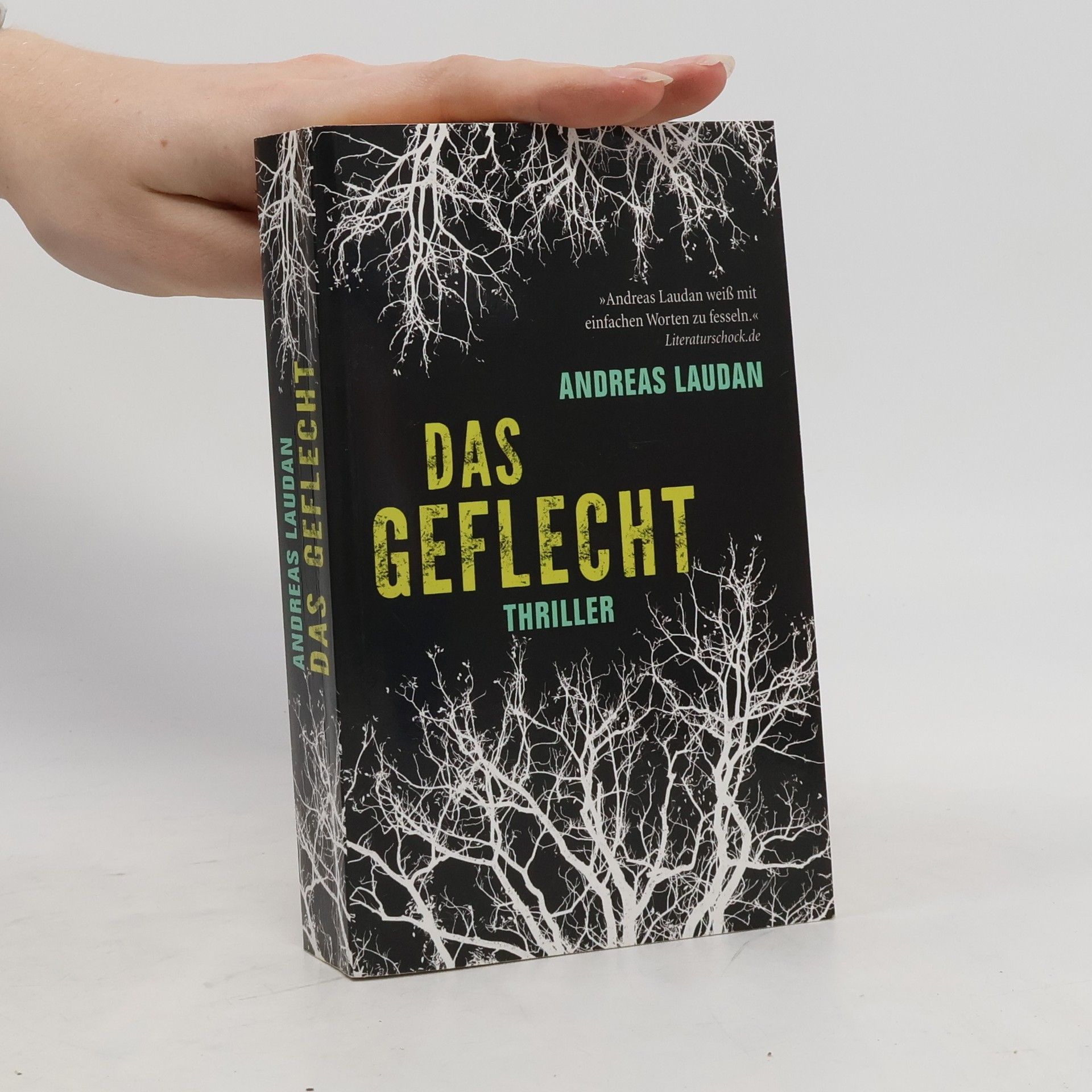Andreas Laudan Das Geflecht