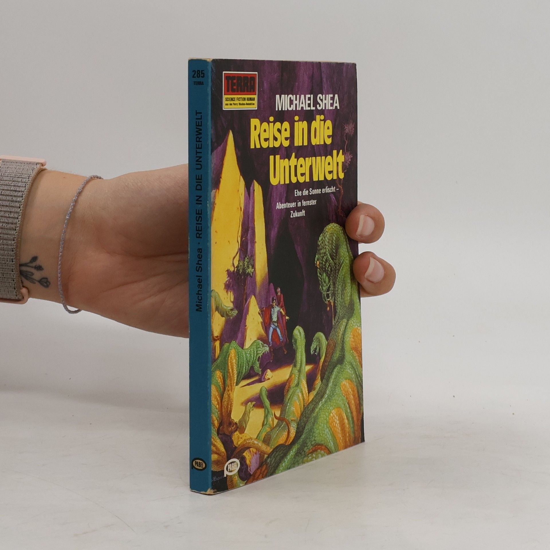 Michael Shea Reise in die Unterwelt