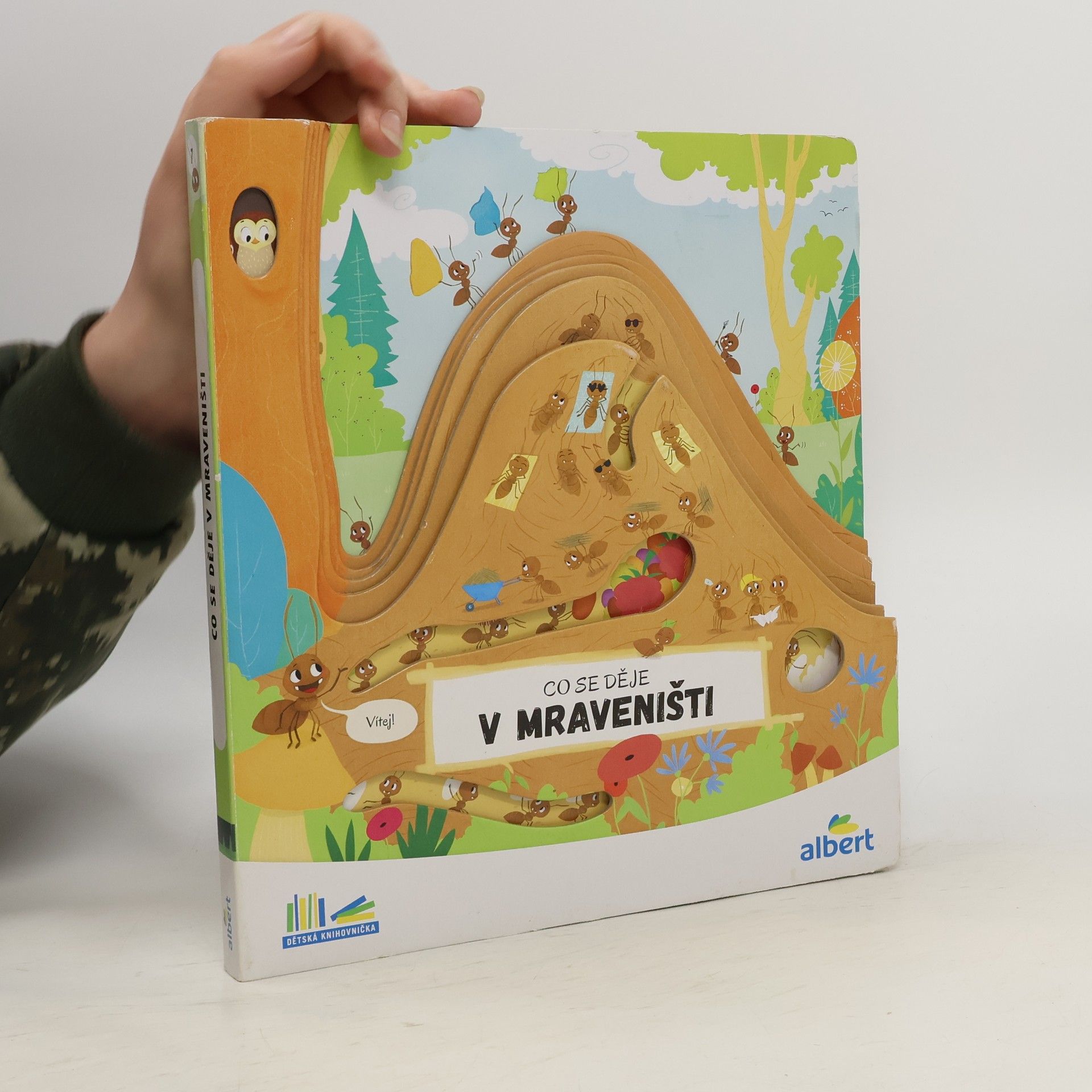 kolektiv Co se děje v mraveništi