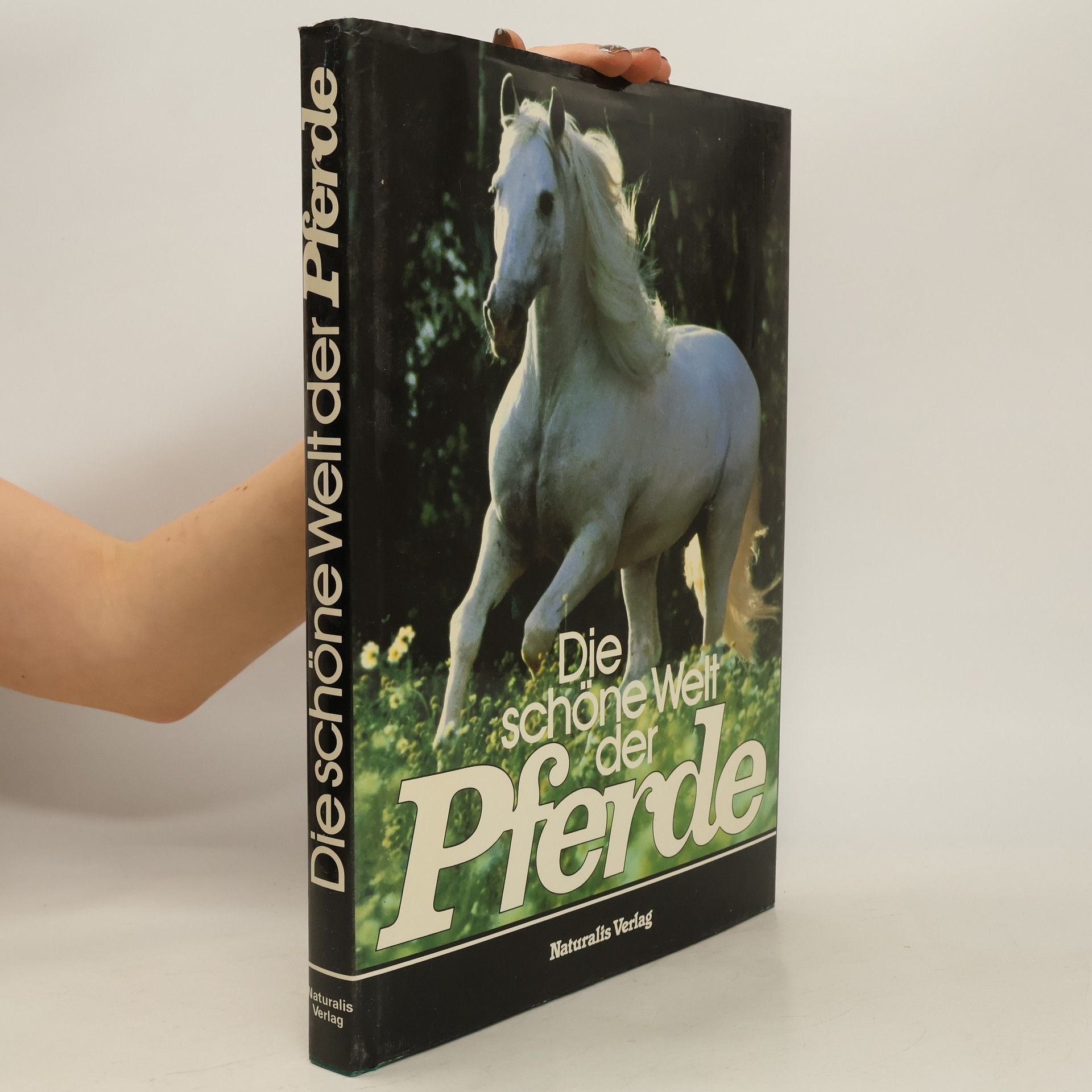 Collectif d'auteurs Die schöne Welt der Pferde