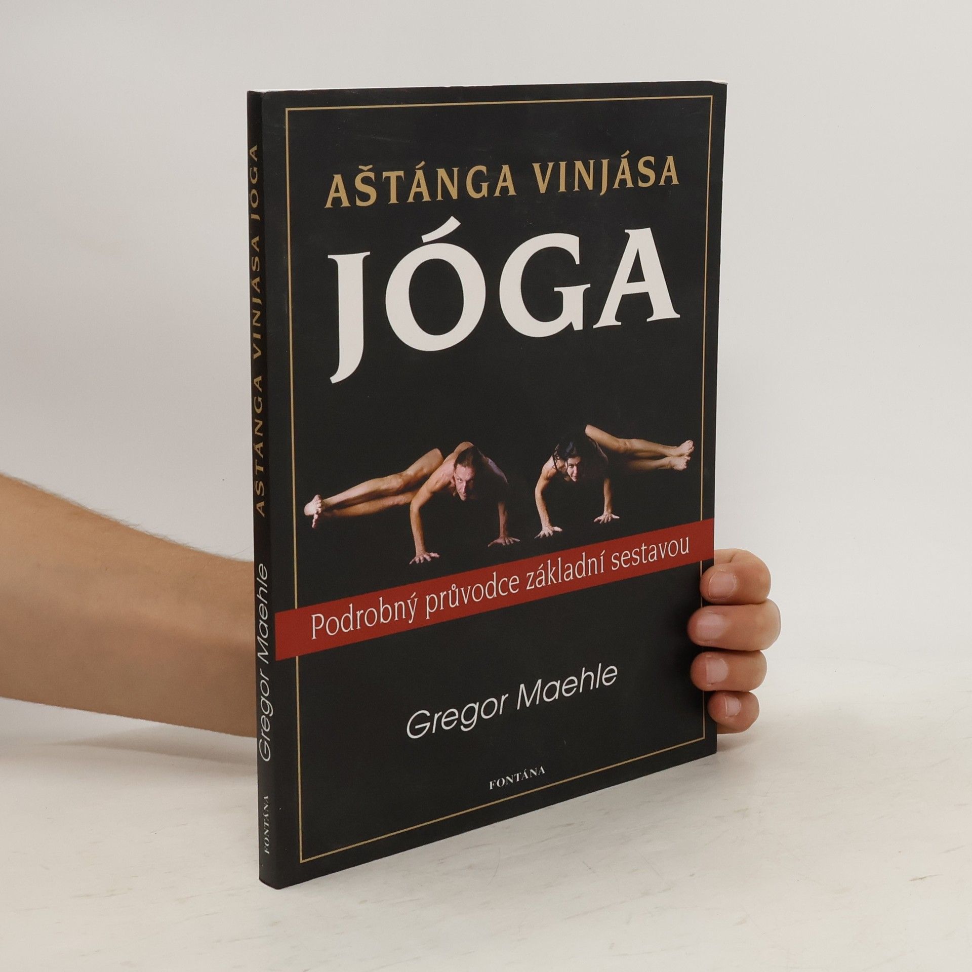 Gregor Maehle Aštánga vinjása jóga