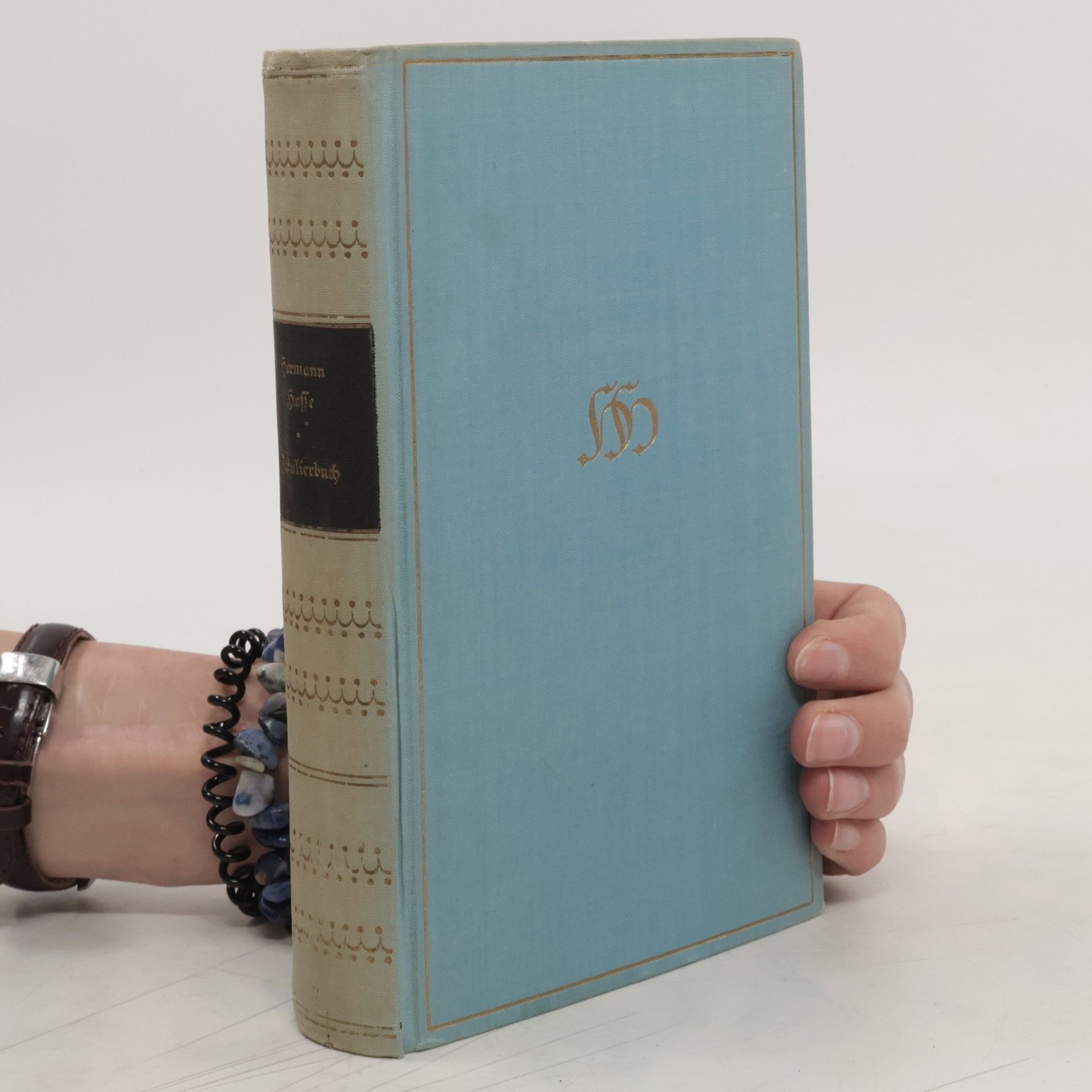 Hermann Hesse Fabulierbuch