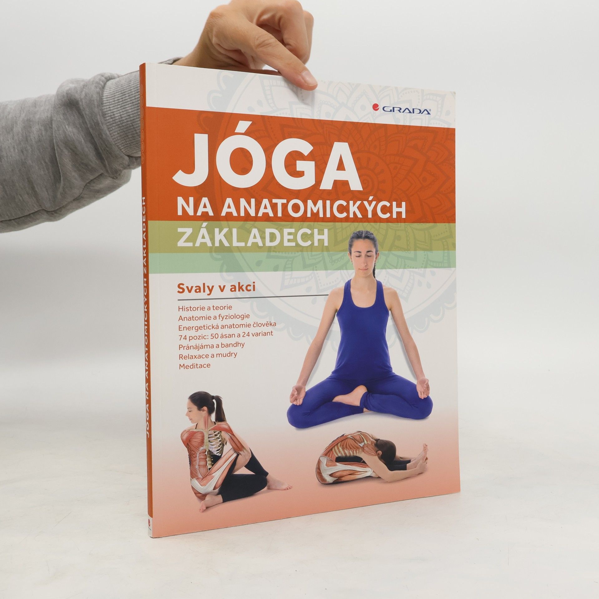 Mireia Patiño Coll Jóga na anatomických základech