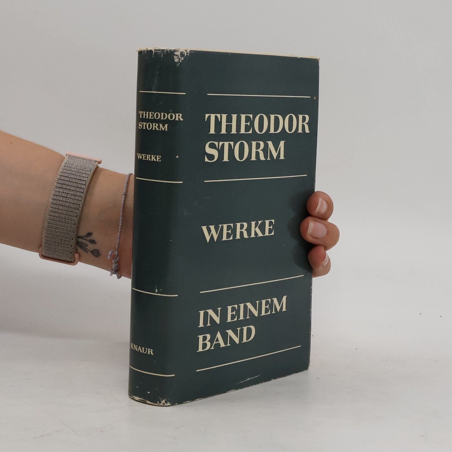 Theodor Storm Werke in einem Band