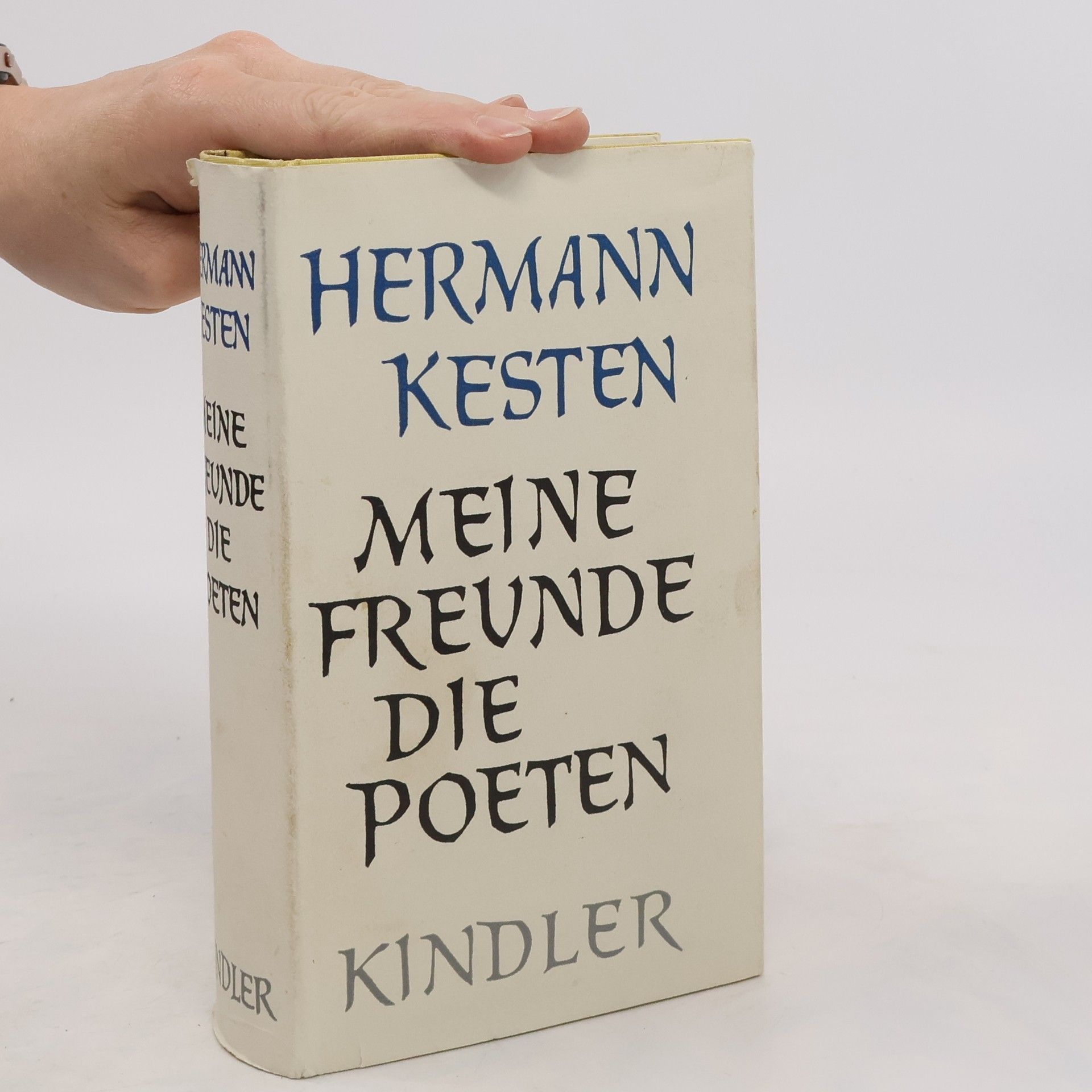 Kesten Hermann Meine Freunde die Poeten