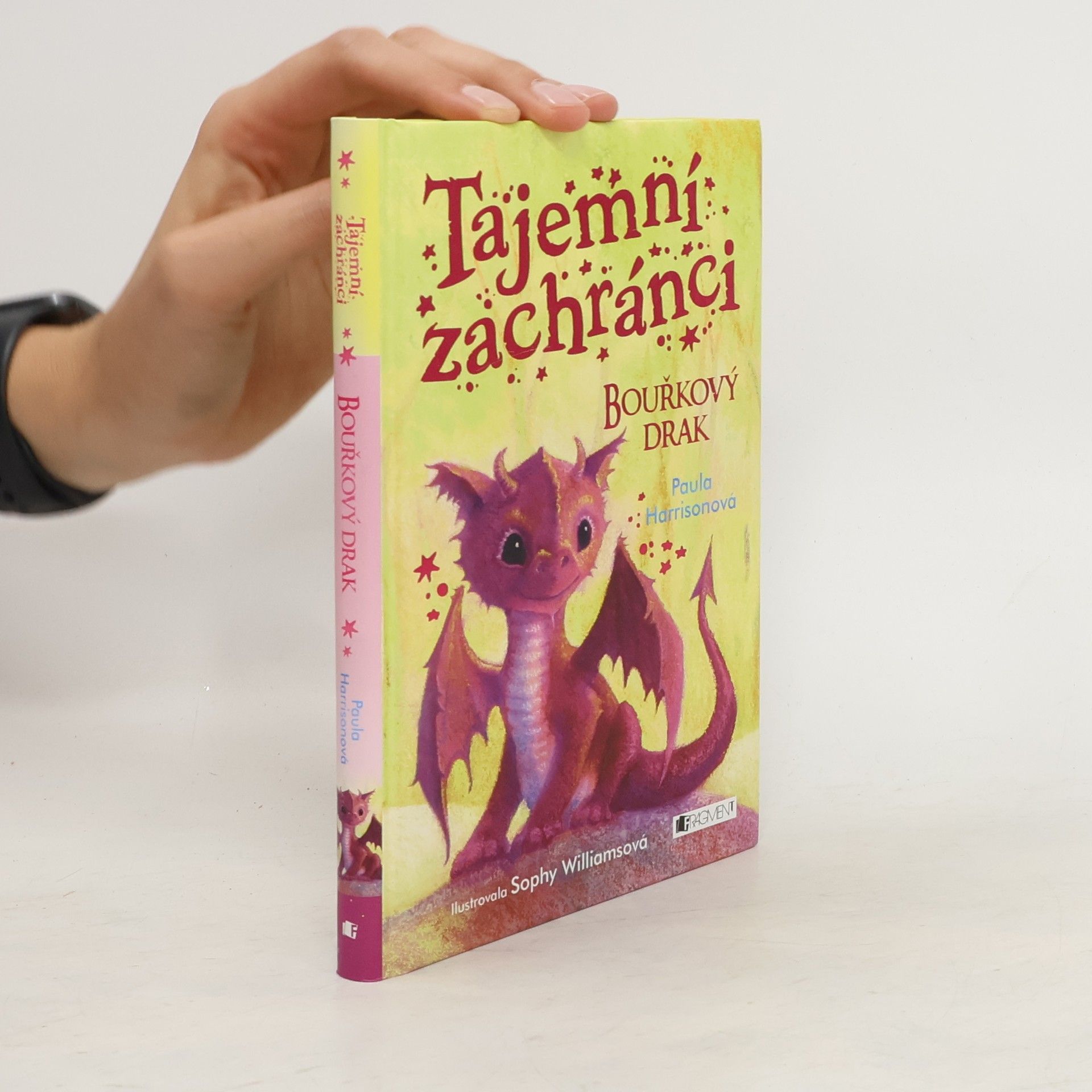 Paula Harrison Tajemní zachránci - Bouřkový drak