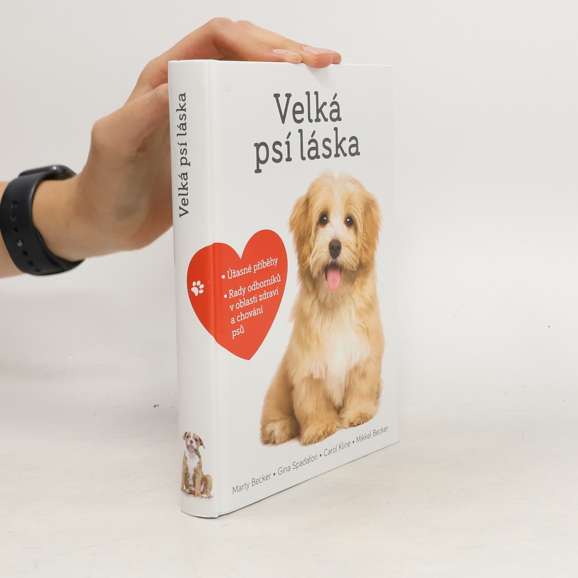 Marty Becker Velká psí láska: Příběhy, rady a úžasné fotografie psích bytostí