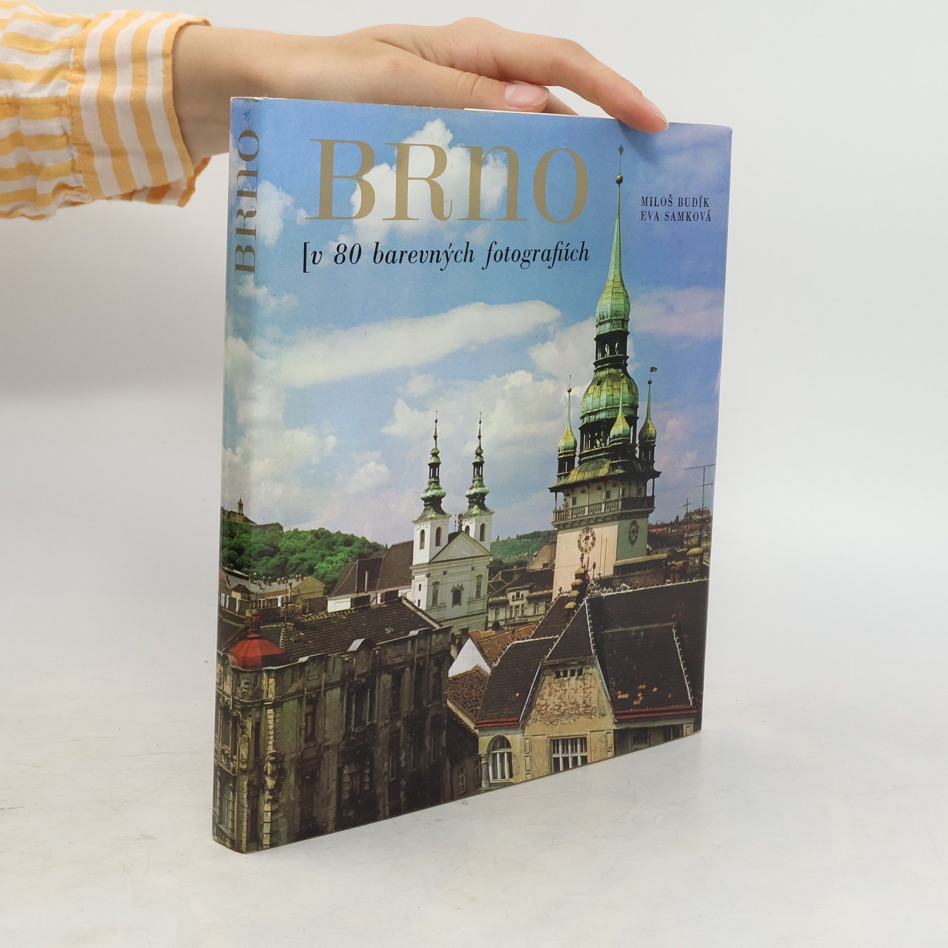 Miloš Budík Brno. V 80 barevných fotografiích