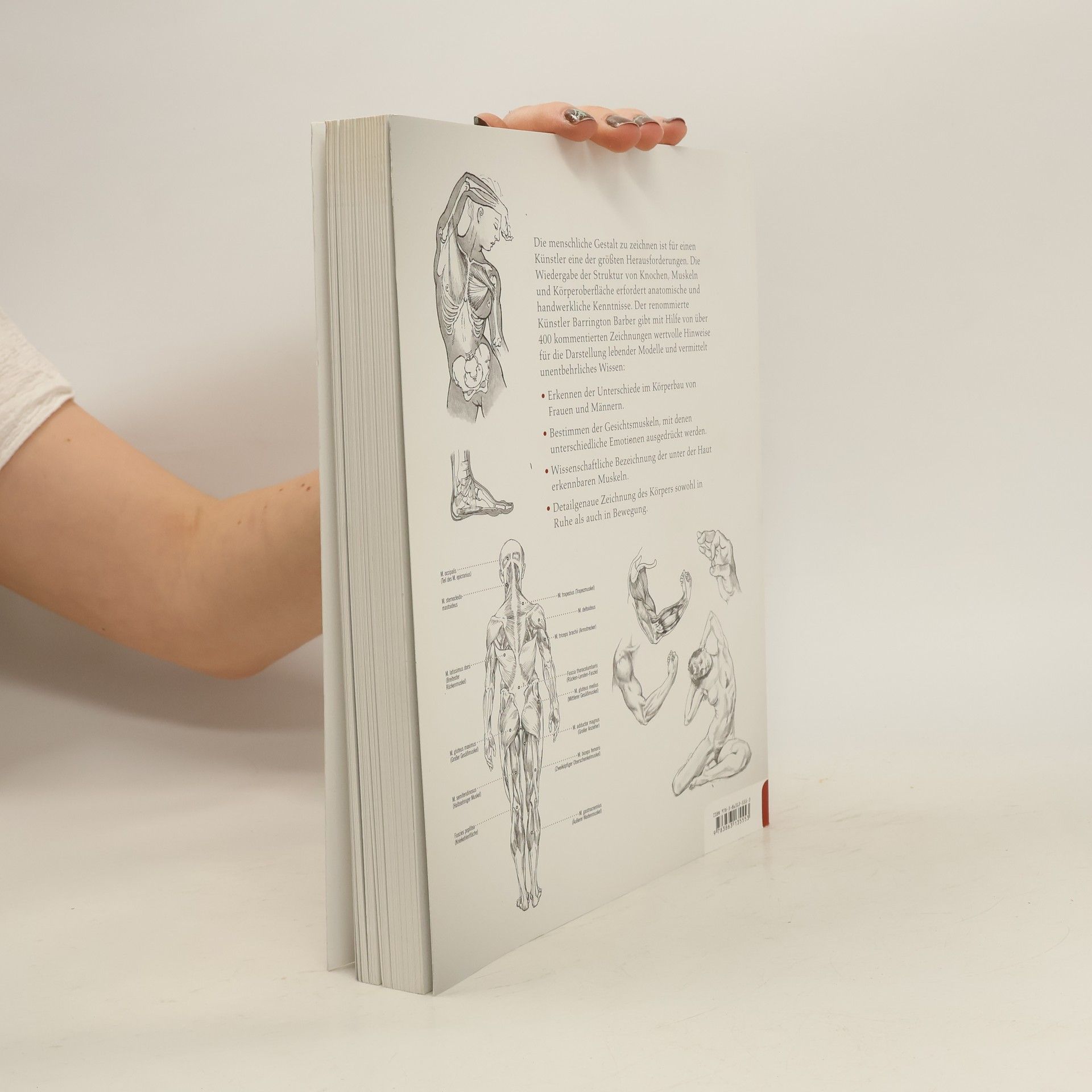 Barrington Barber Anatomie für Künstler
