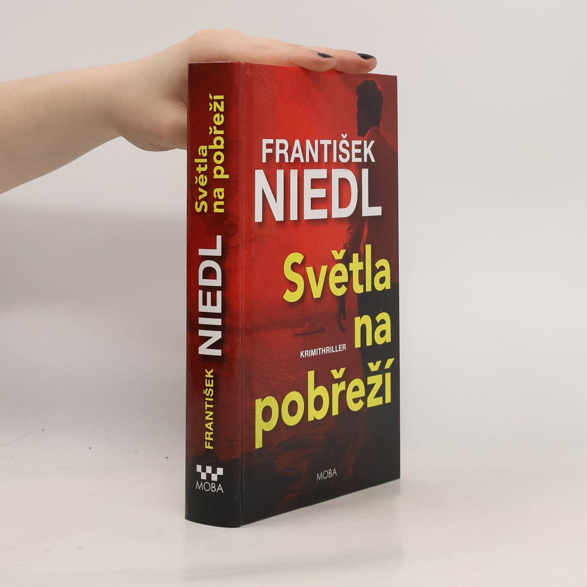 František Niedl Světla na pobřeží