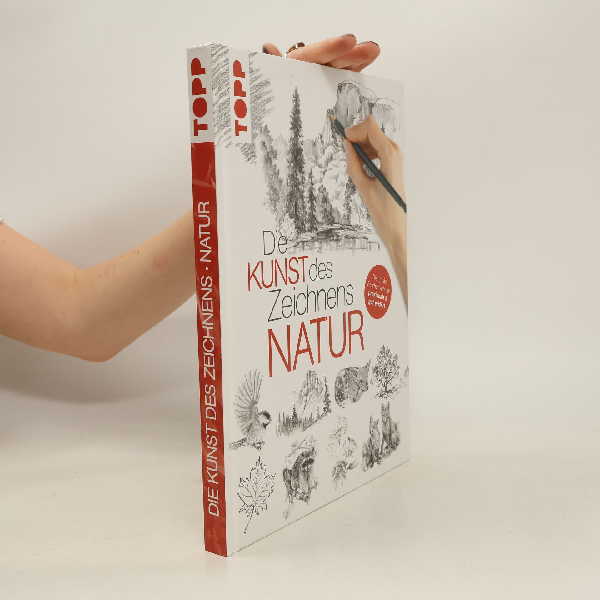 Autorenkollektiv Die Kunst des Zeichnens - Natur