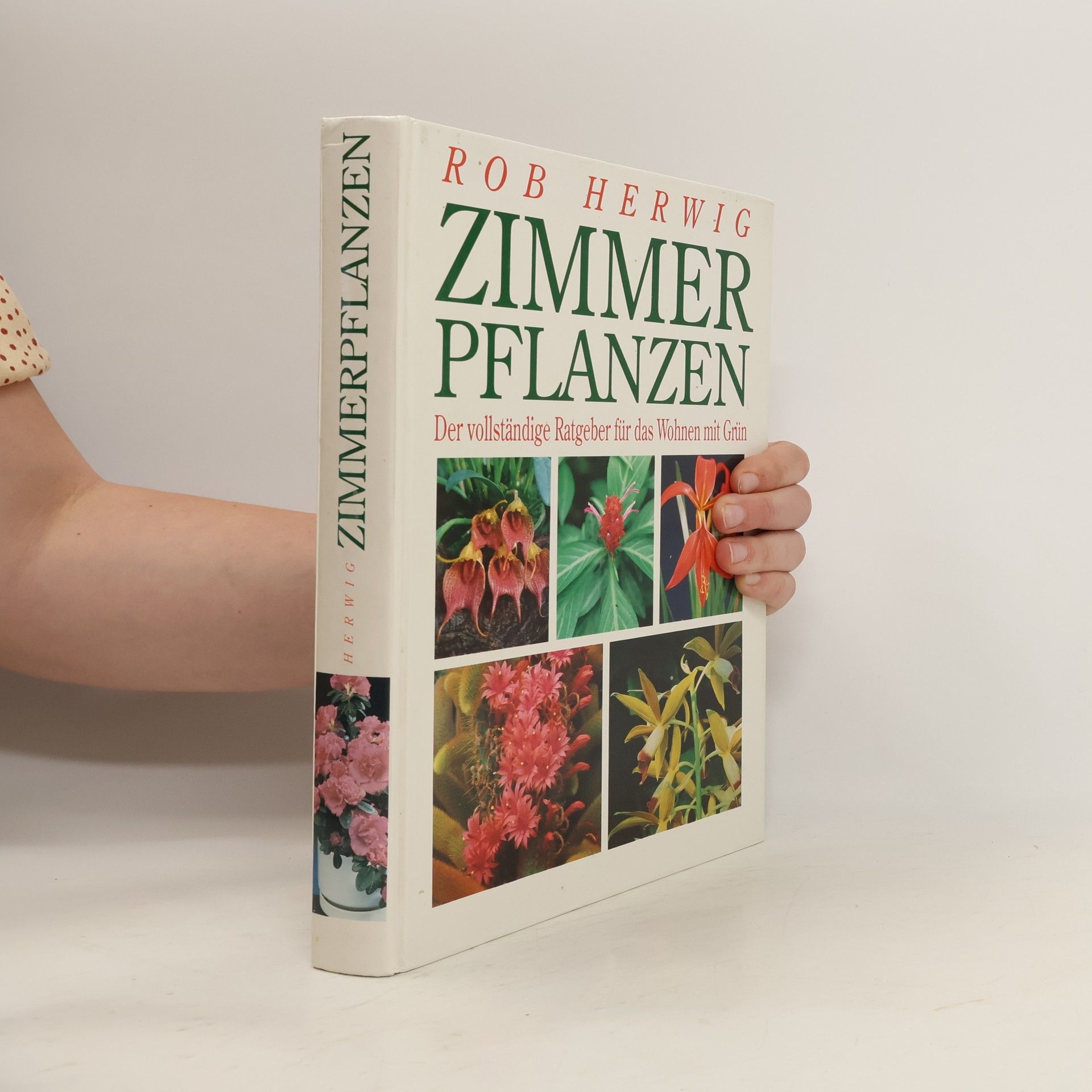 Rob Herwig Zimmerpflanzen