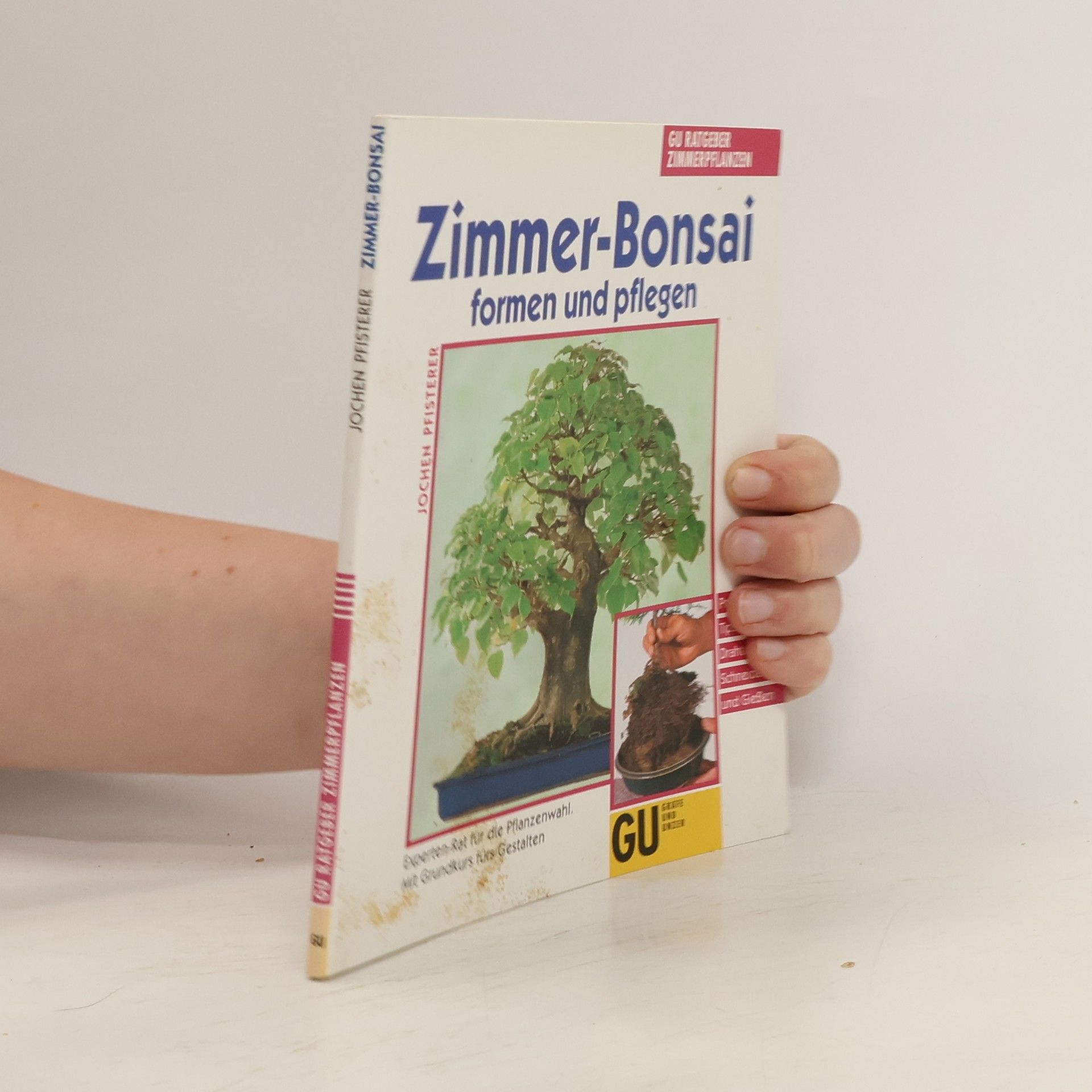 Jochen Pfisterer Zimmer-Bonsai formen und pflegen