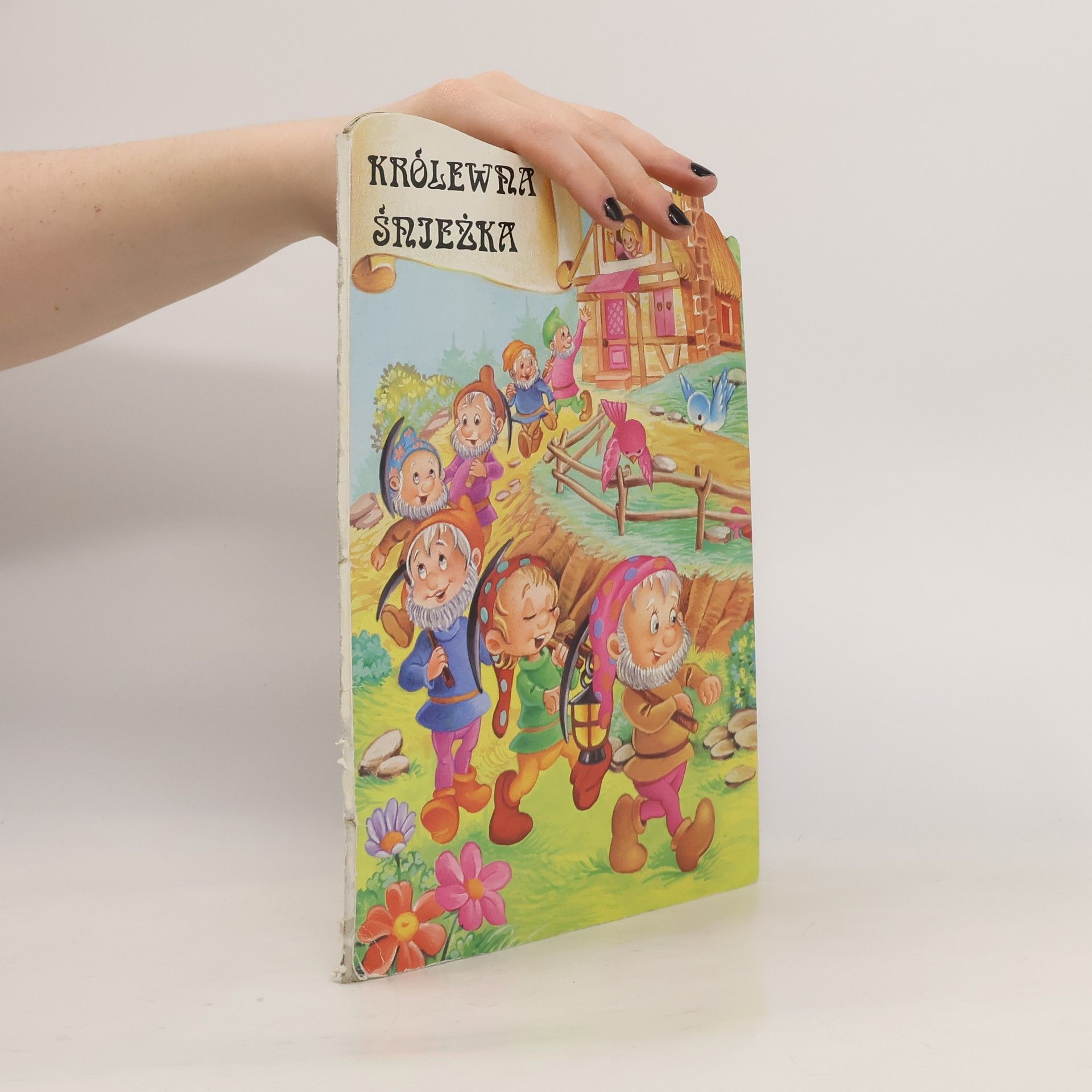 Collectif d'auteurs Królewna Śnieżka