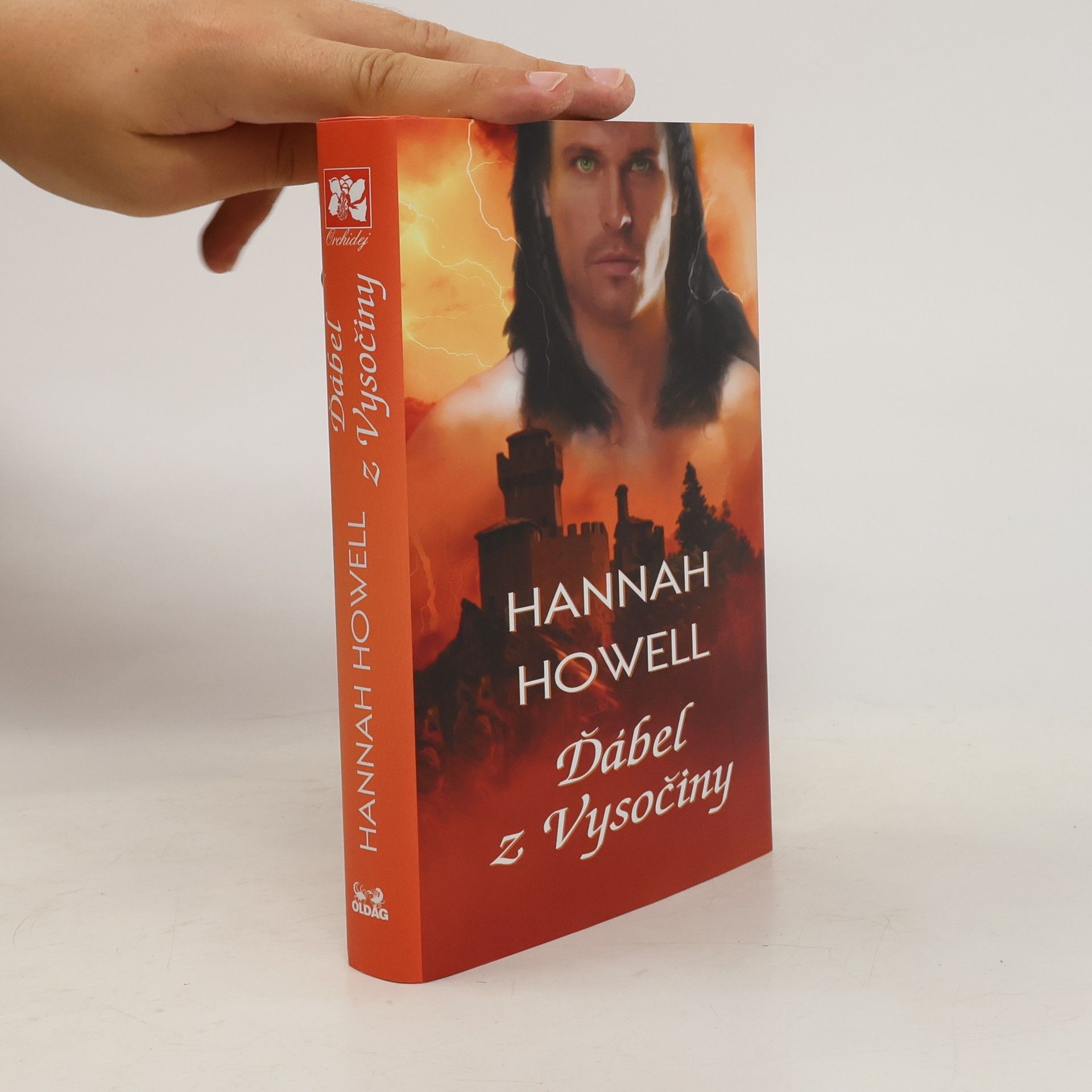 Hannah Howell Ďábel z Vysočiny