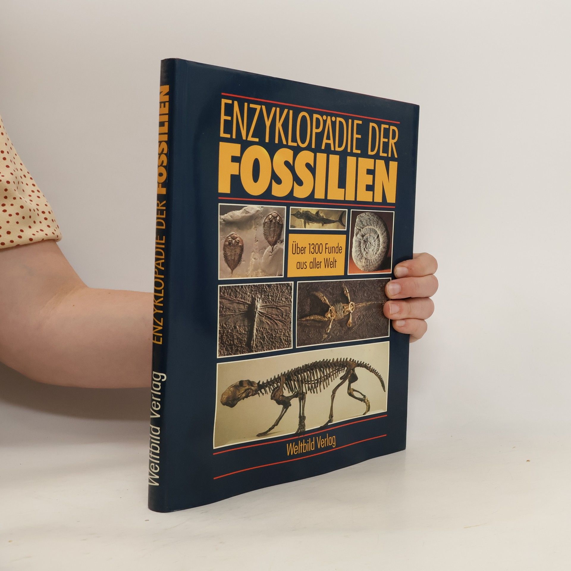 Giovanni Pinna Enzyklopädie der Fossilien