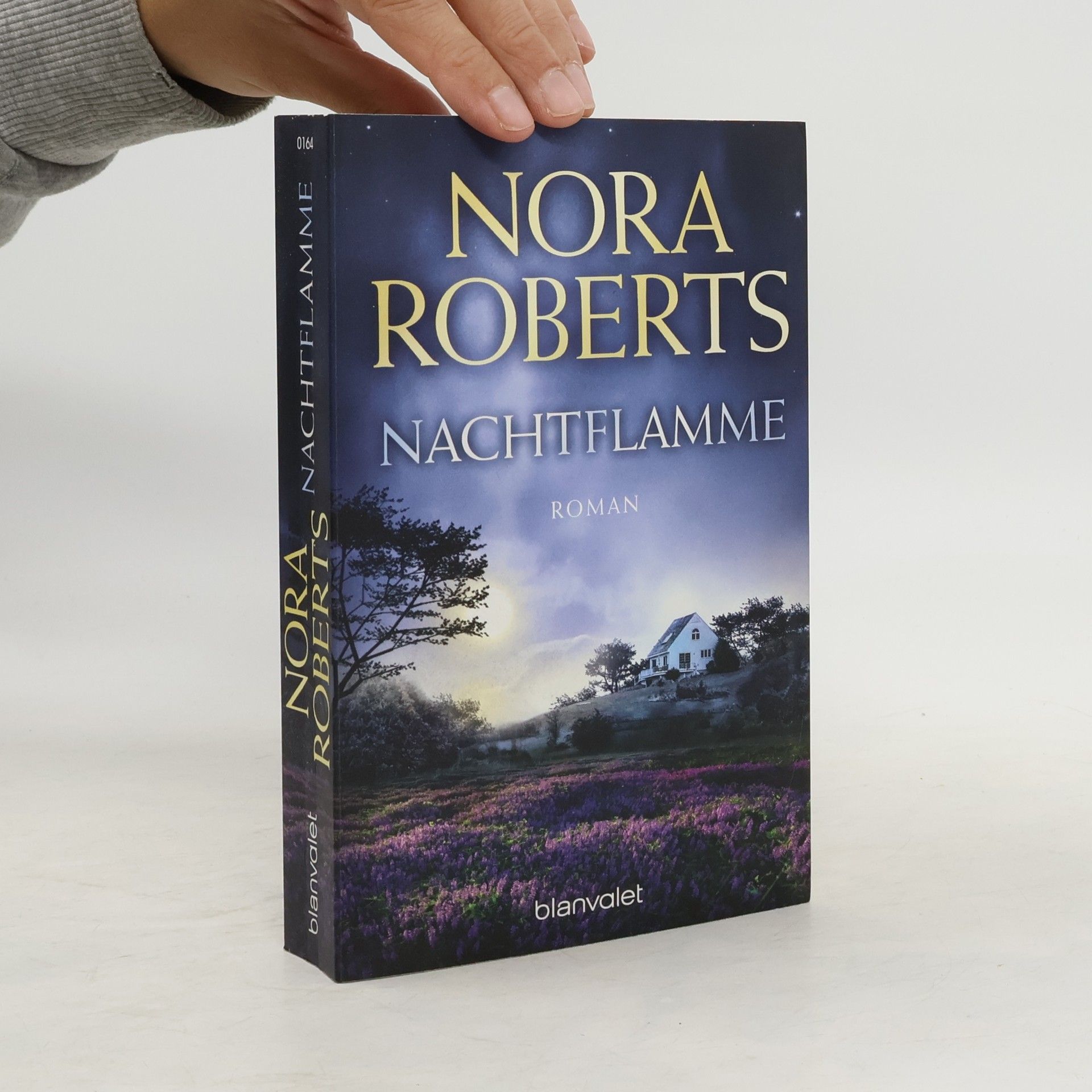 Nora Roberts Nachtflamme