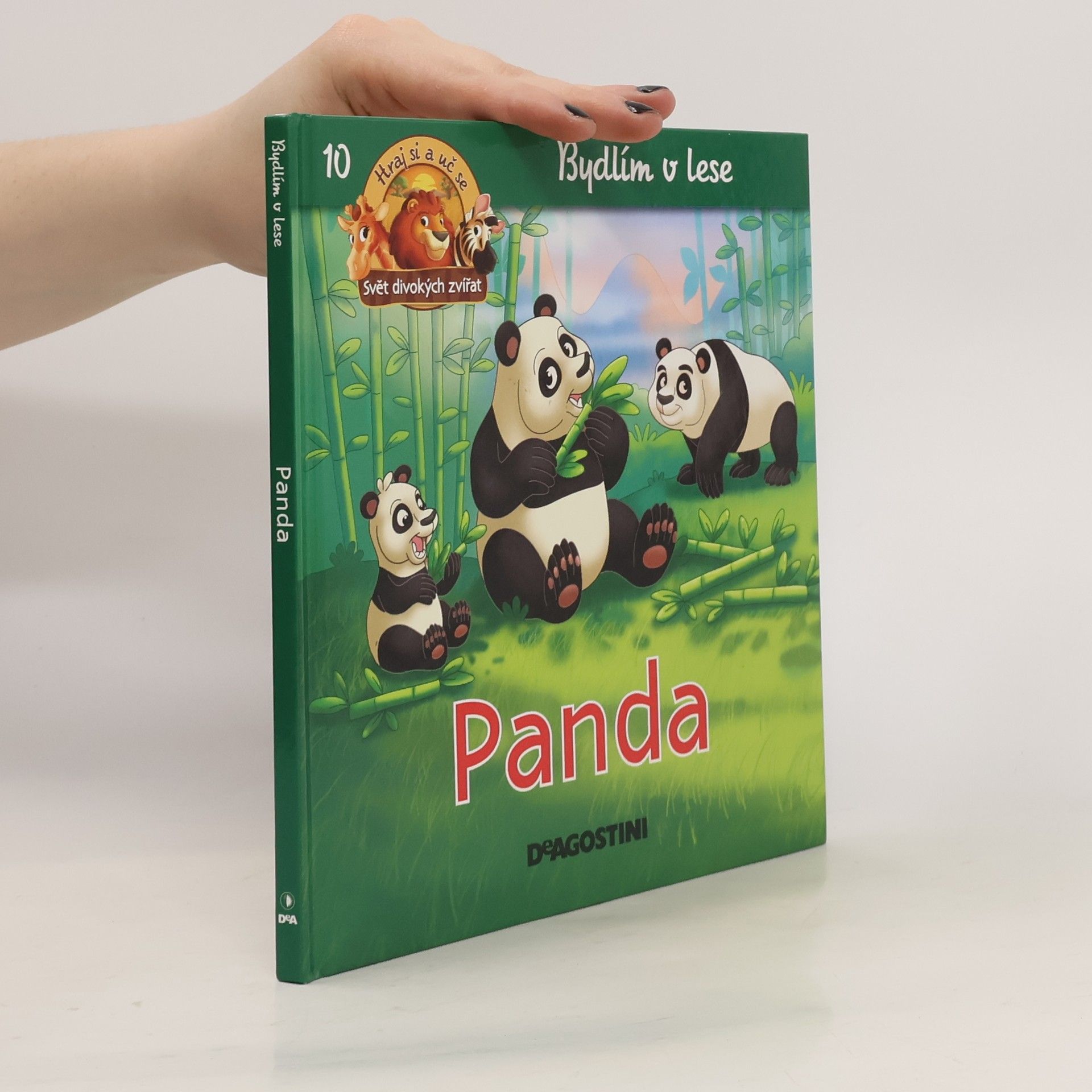 kolektiv Bydlím v lese 10. Panda