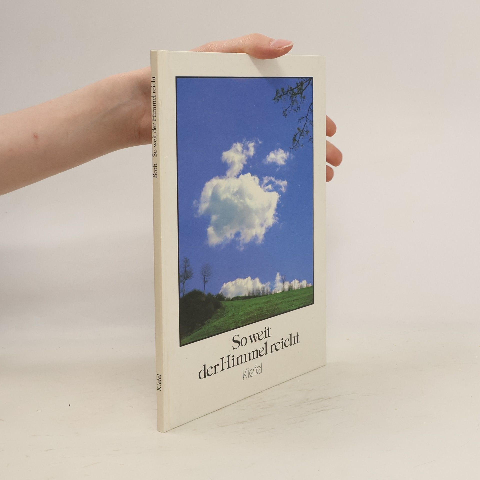 Reinhold Schönemund So weit der Himmel reicht