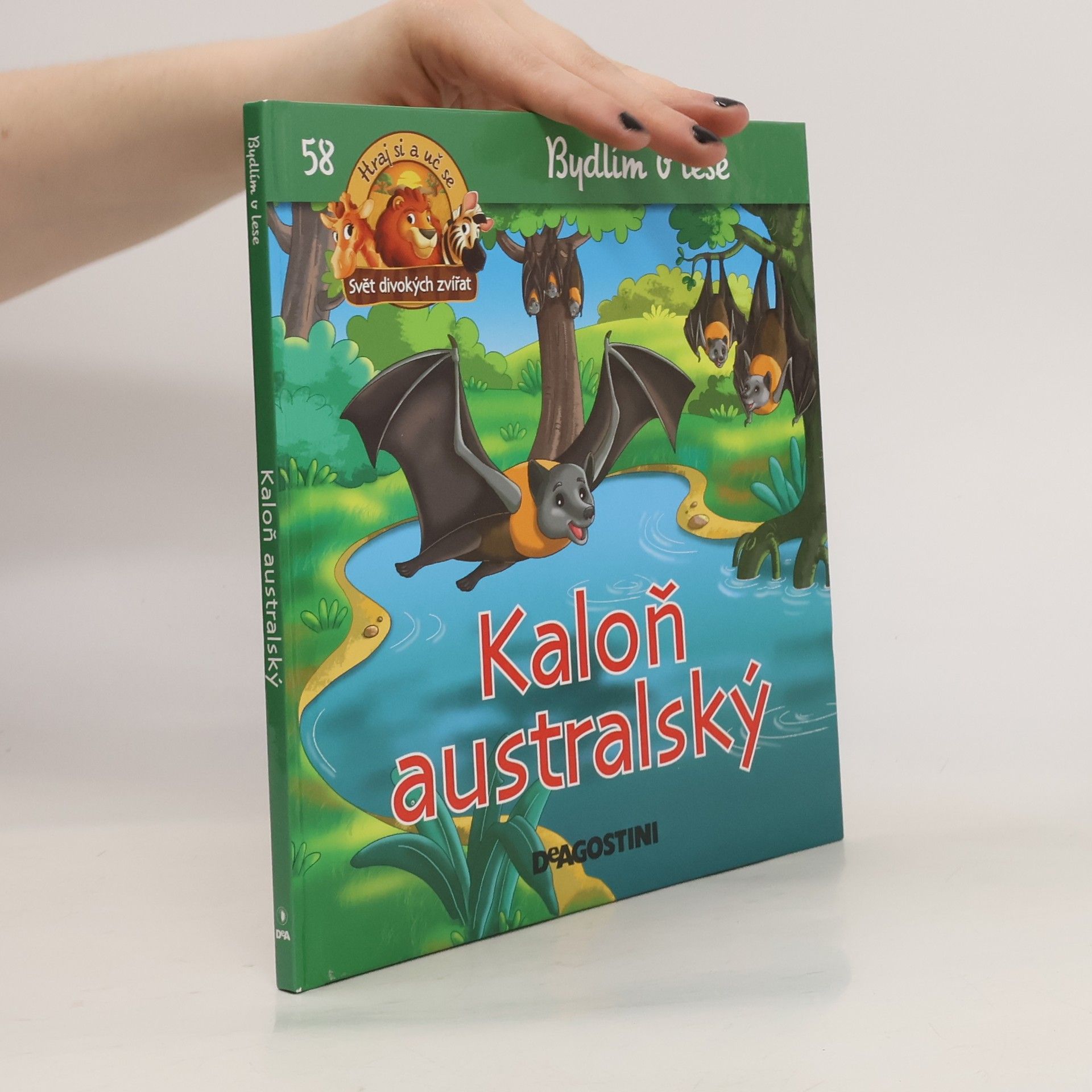 kolektiv Bydlím v lese 58. Kaloň australský