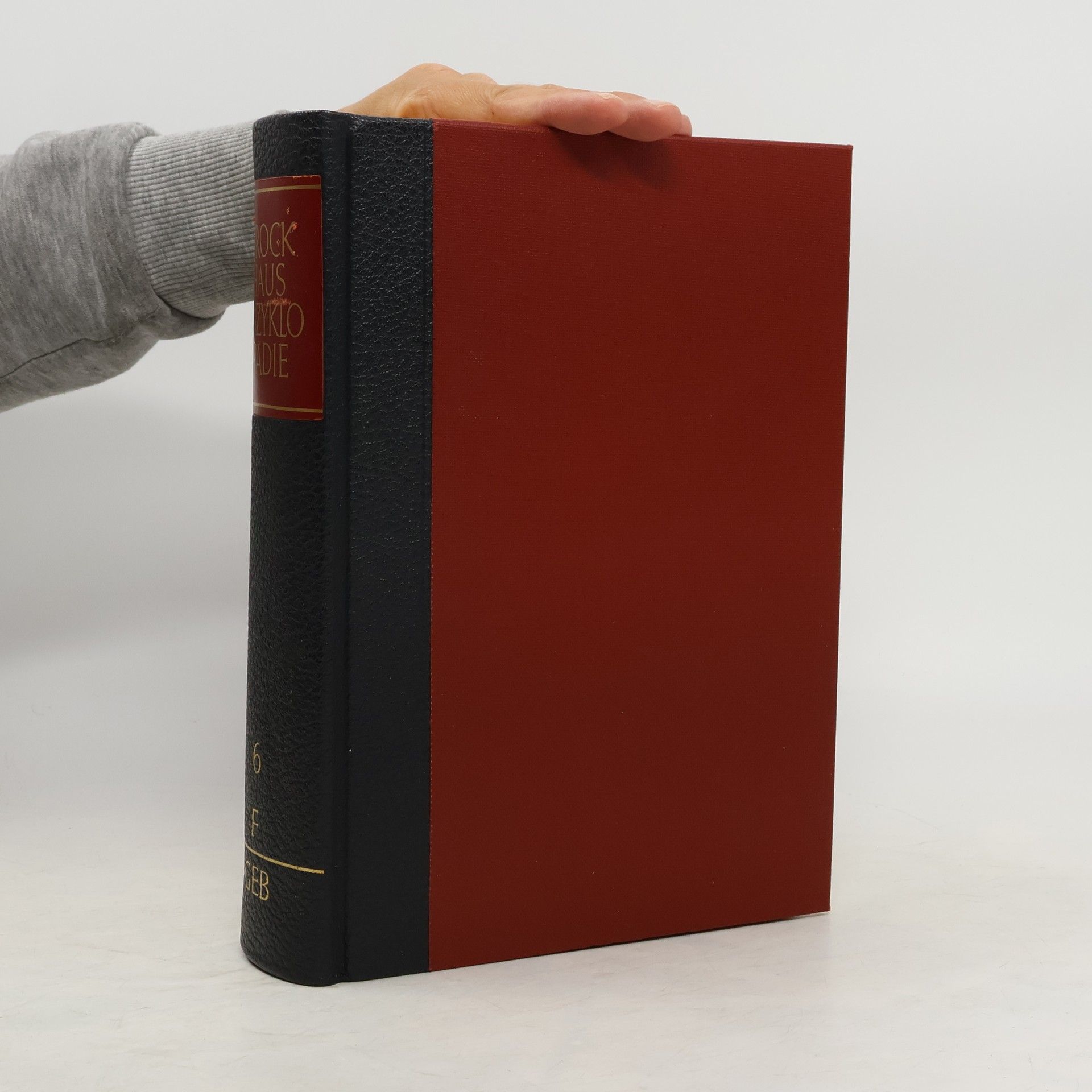 Autorenkollektiv Brockhaus Enzyklopädie 6 F-GEB