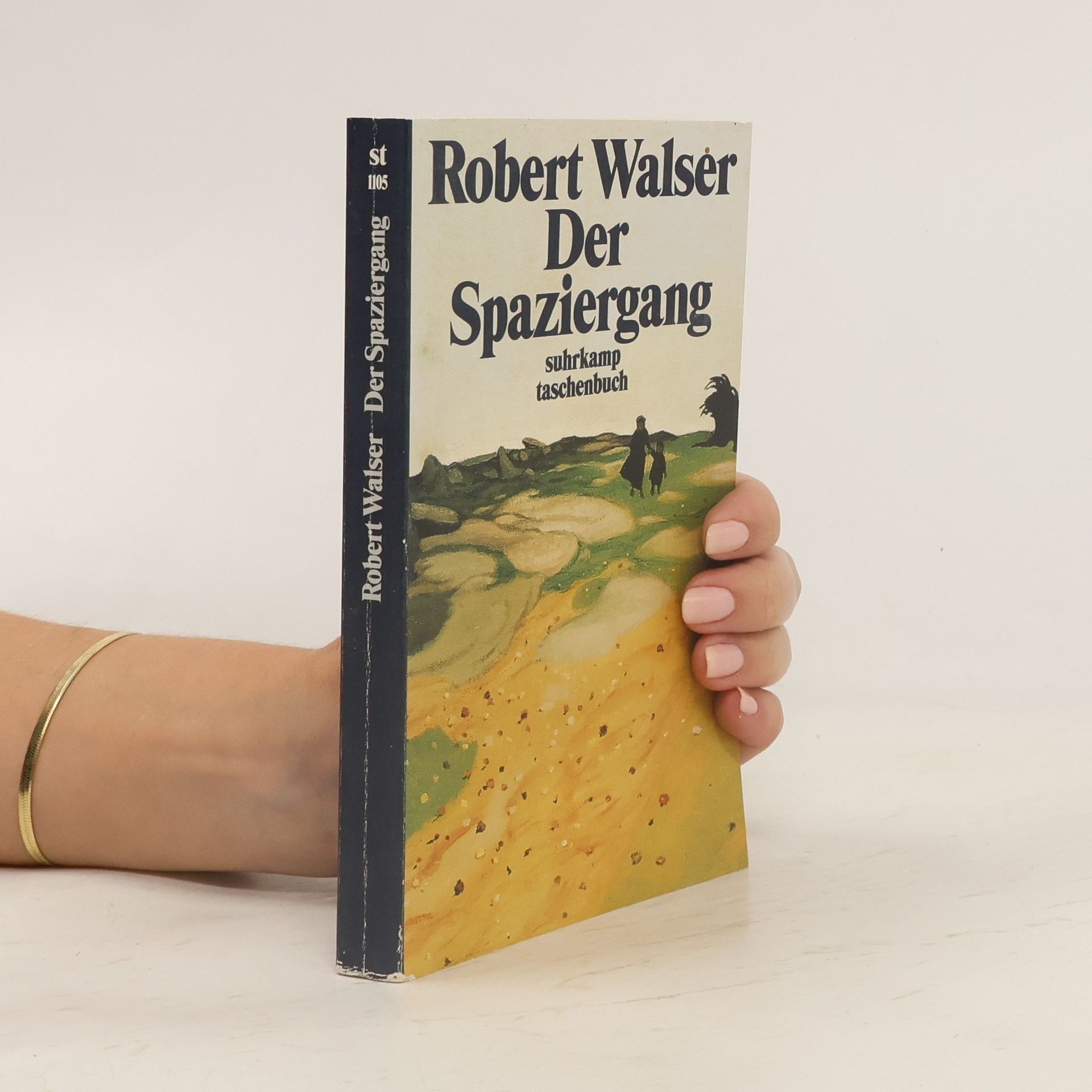Robert Walser Der Spaziergang