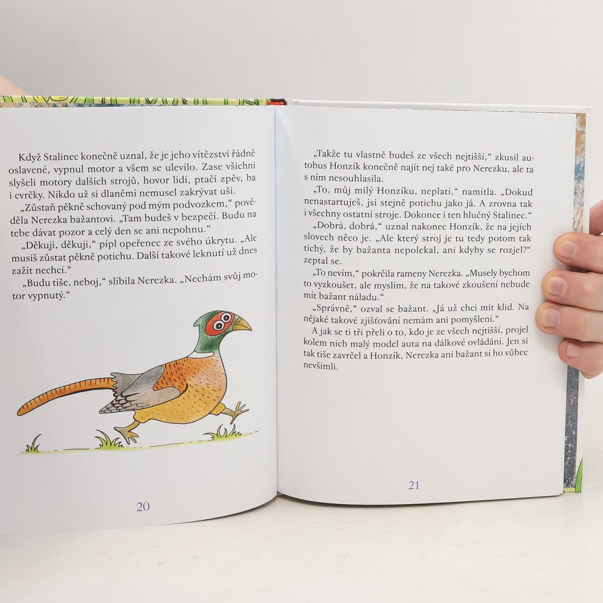 Irena Lachoutová Nerezka