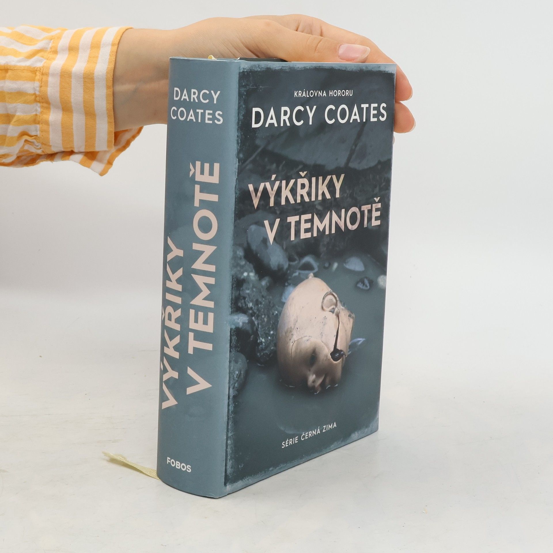 Darcy Coates Výkřiky v temnotě