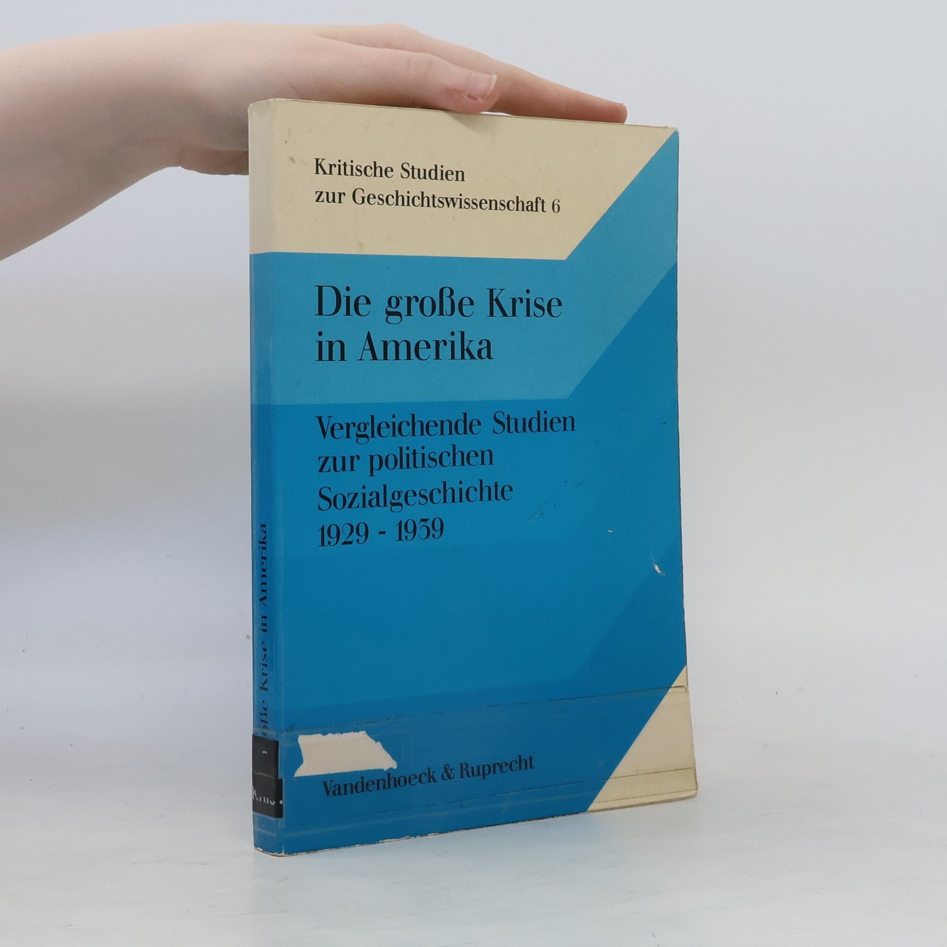 Heinrich August Winkler Die grosse Krise in Amerika