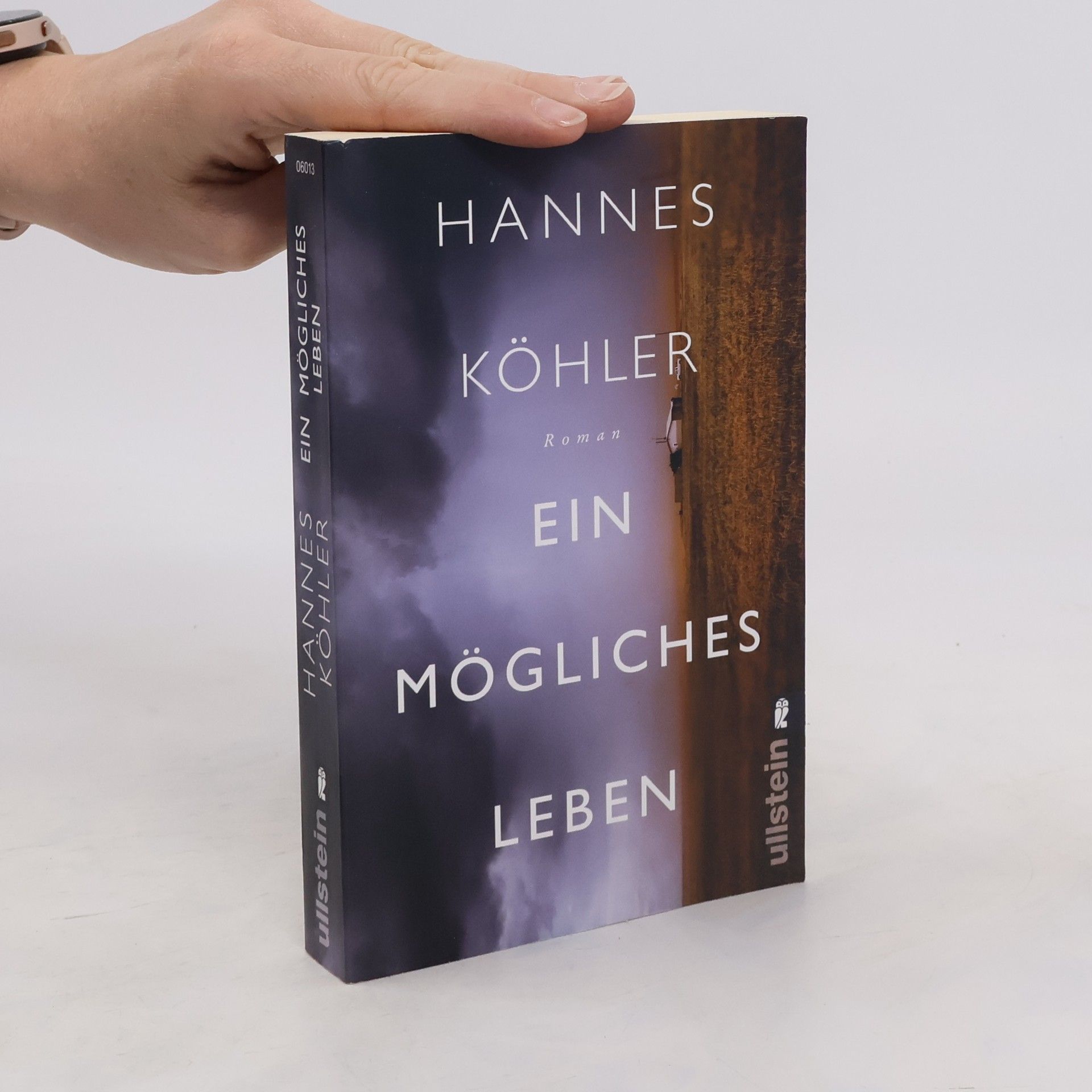 Hannes Köhler Ein mögliches Leben