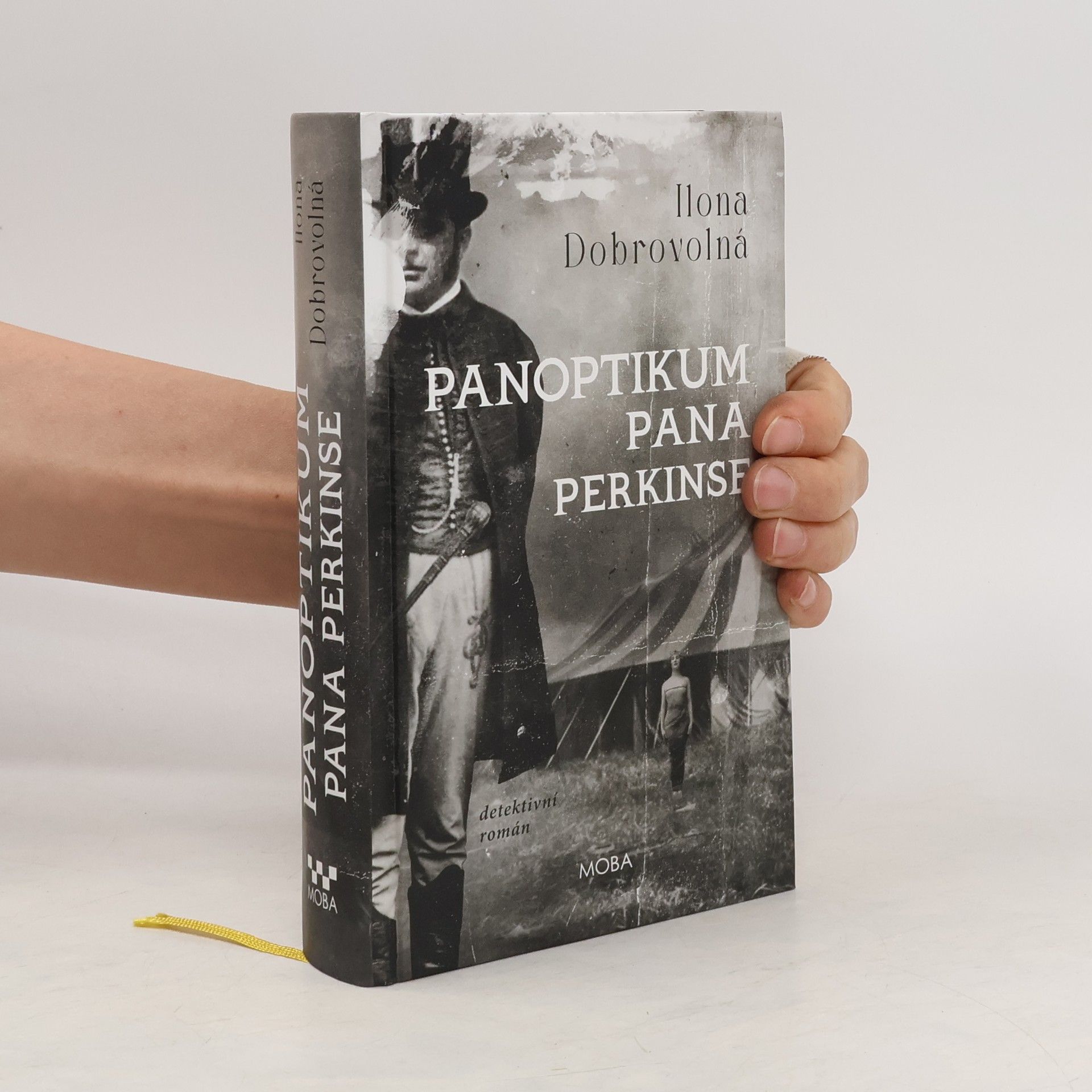 Ilona Dobrovolná Panoptikum pana Perkinse