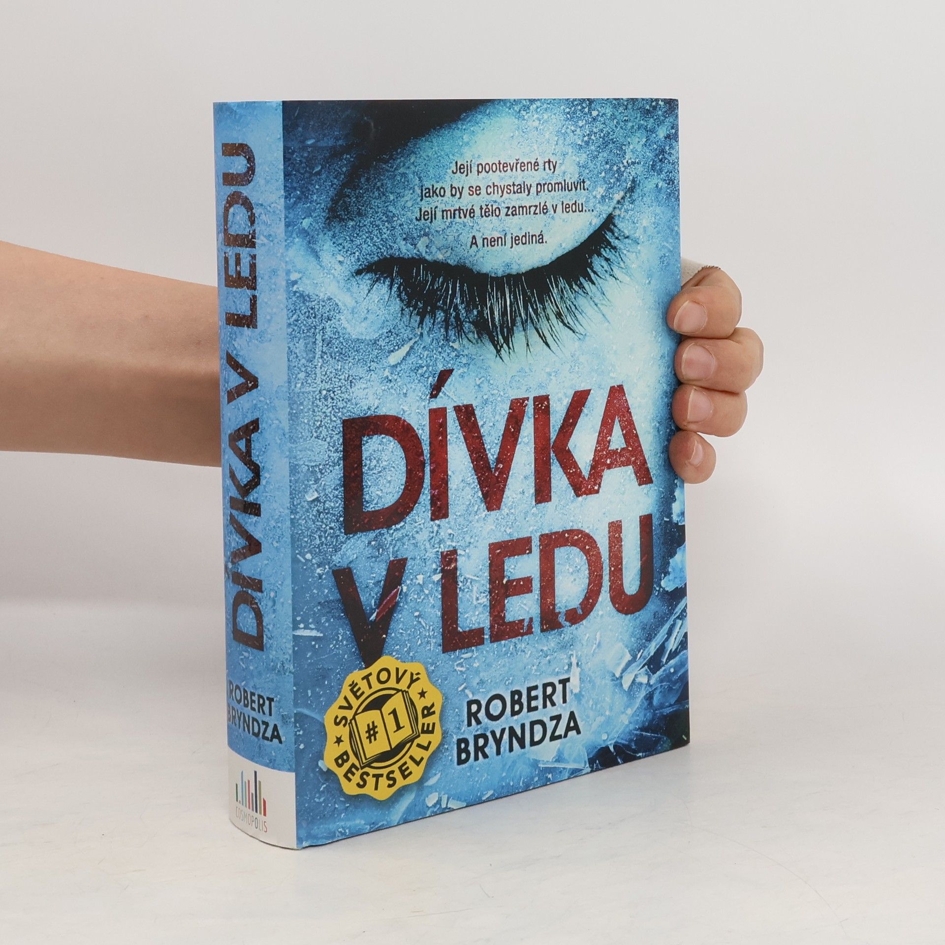 Robert Bryndza Dívka v ledu