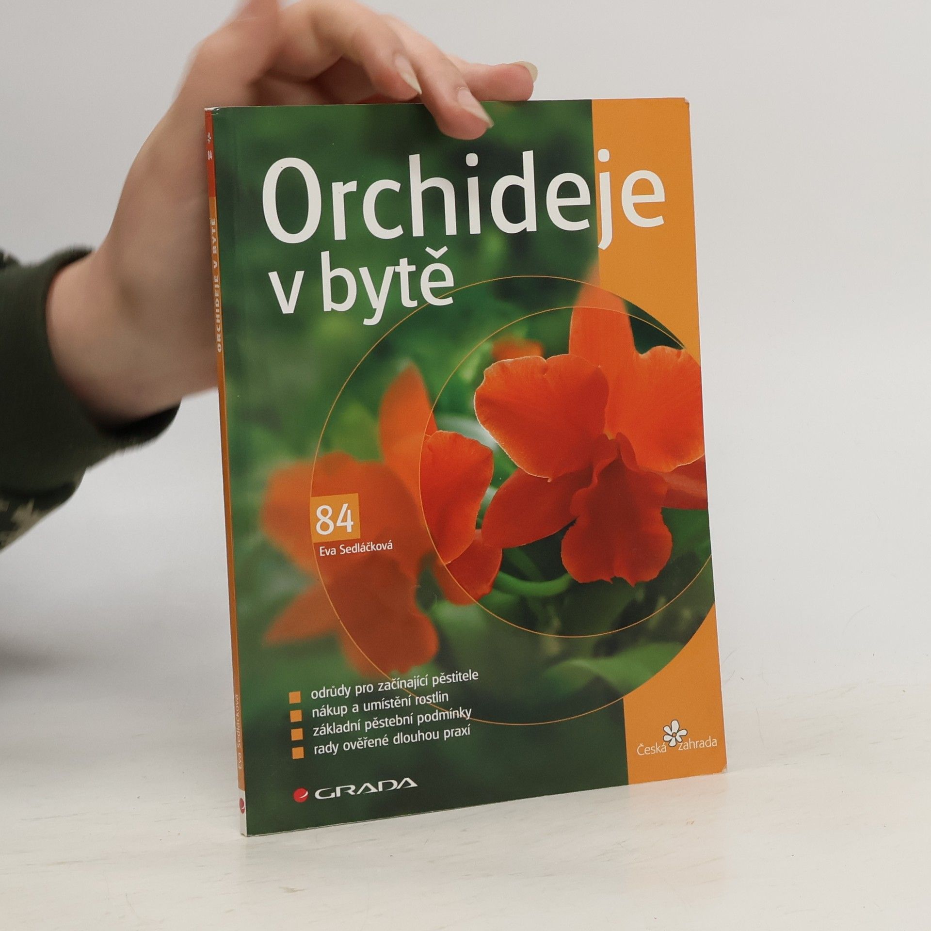 Eva Sedláčková Orchideje v bytě