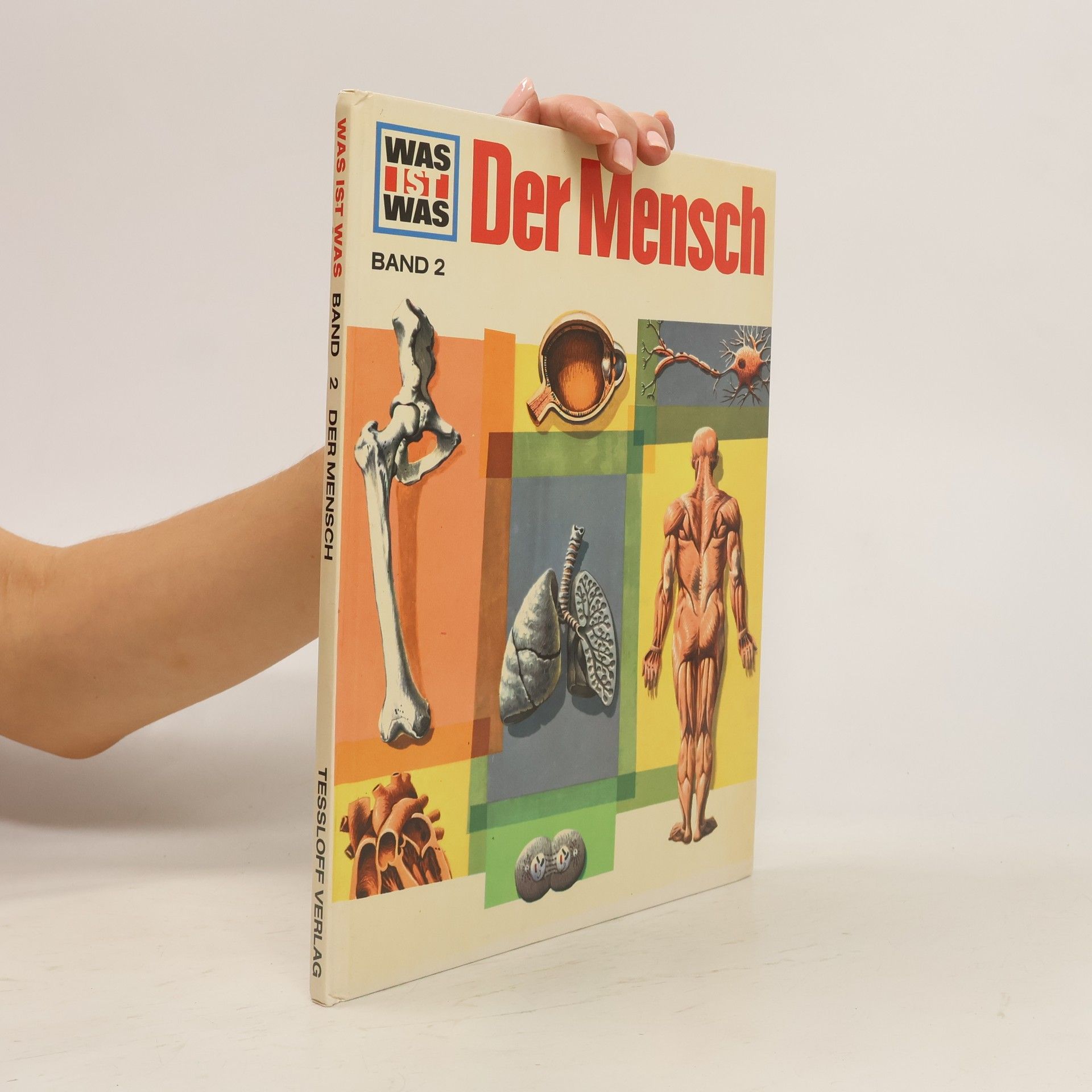 Signe Seiler Der Mensch