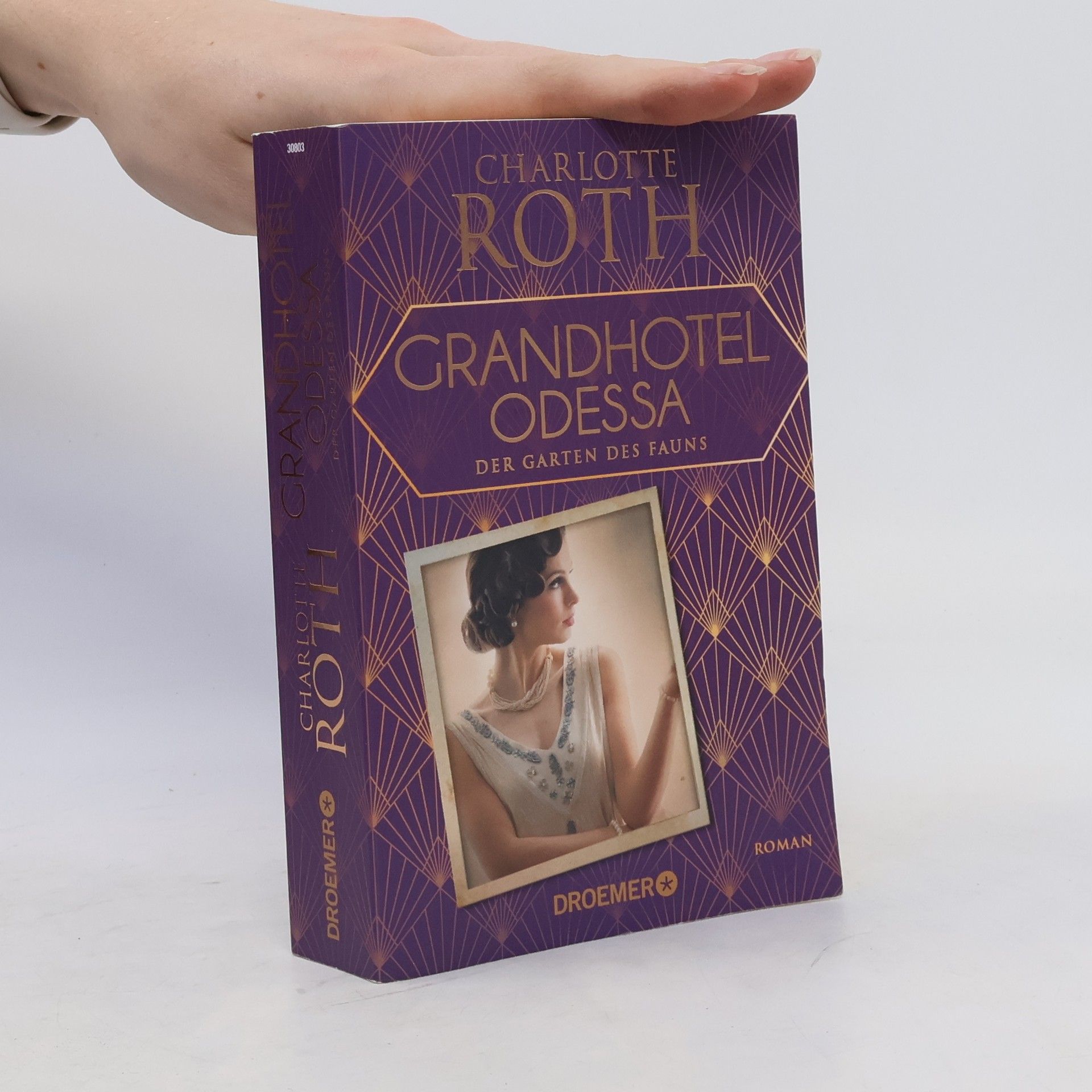 Charlotte Roth Grandhotel Odessa. Der Garten des Fauns