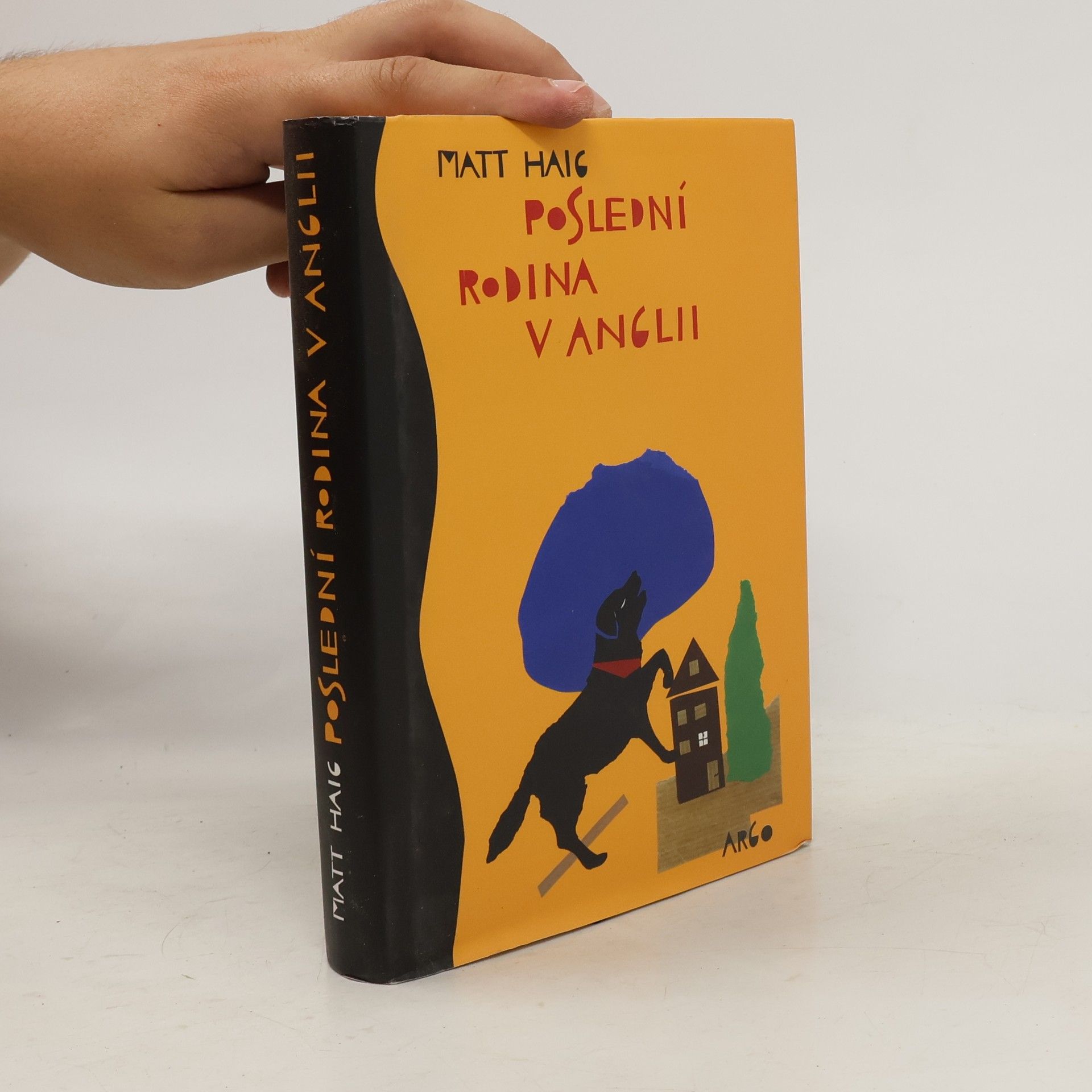 Matt Haig Poslední rodina v Anglii