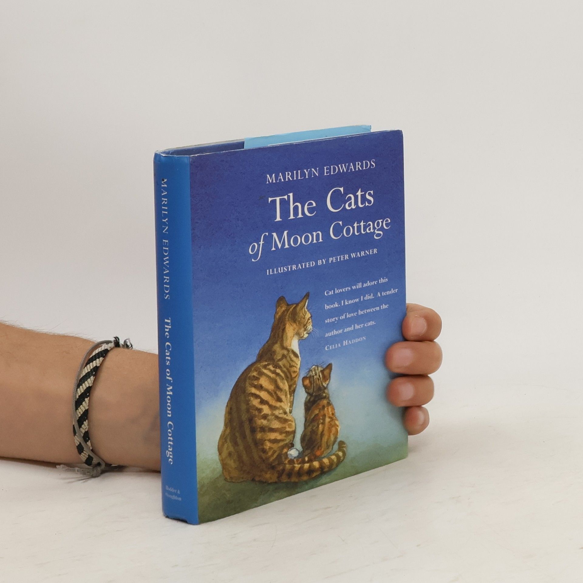 Marilyn Edwards The Cats of Moon Cottage