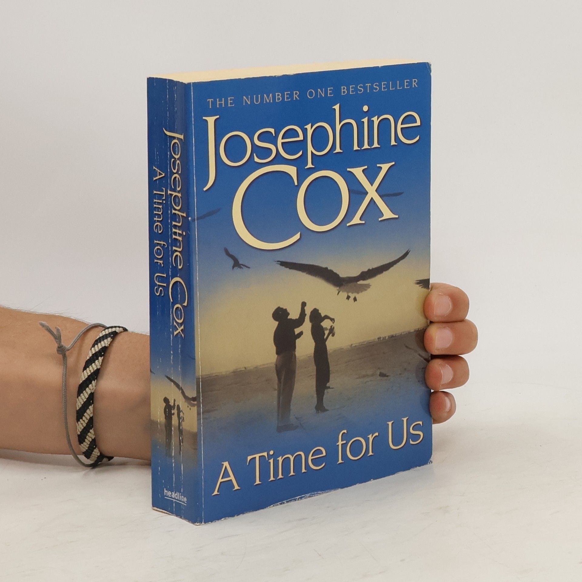 Josephine Cox A Time for Us