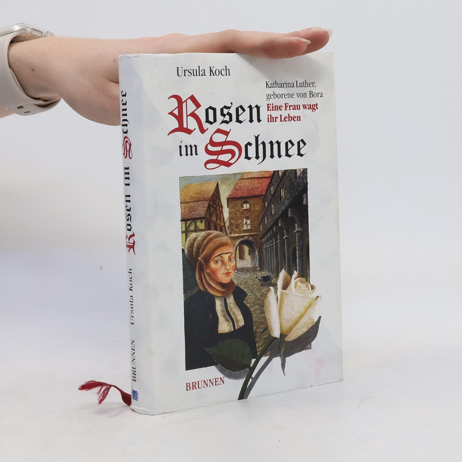 Ursula Koch Rosen im Schnee