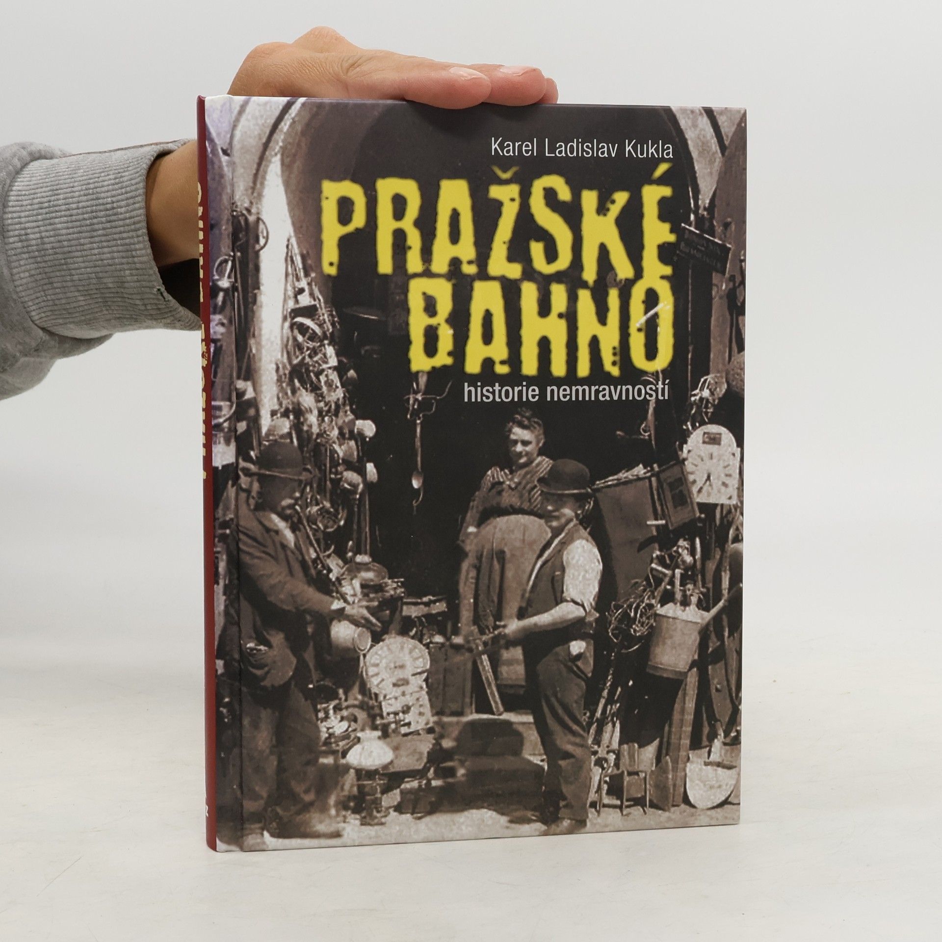 Karel Ladislav Kukla Pražské bahno