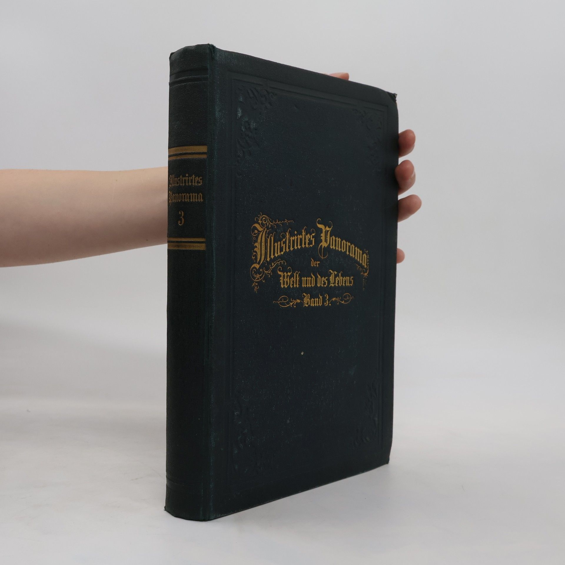 Collectif d'auteurs Illustrirtes Panorama der Welt und des Lebens. Band 3