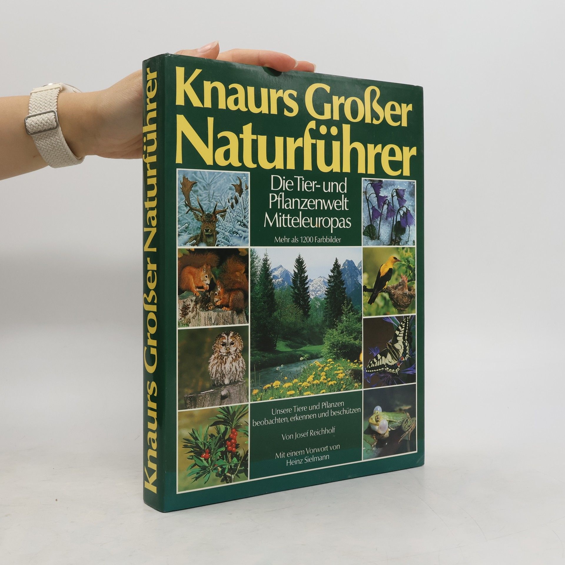 Rosina Fechter Knaurs Großer Naturführer